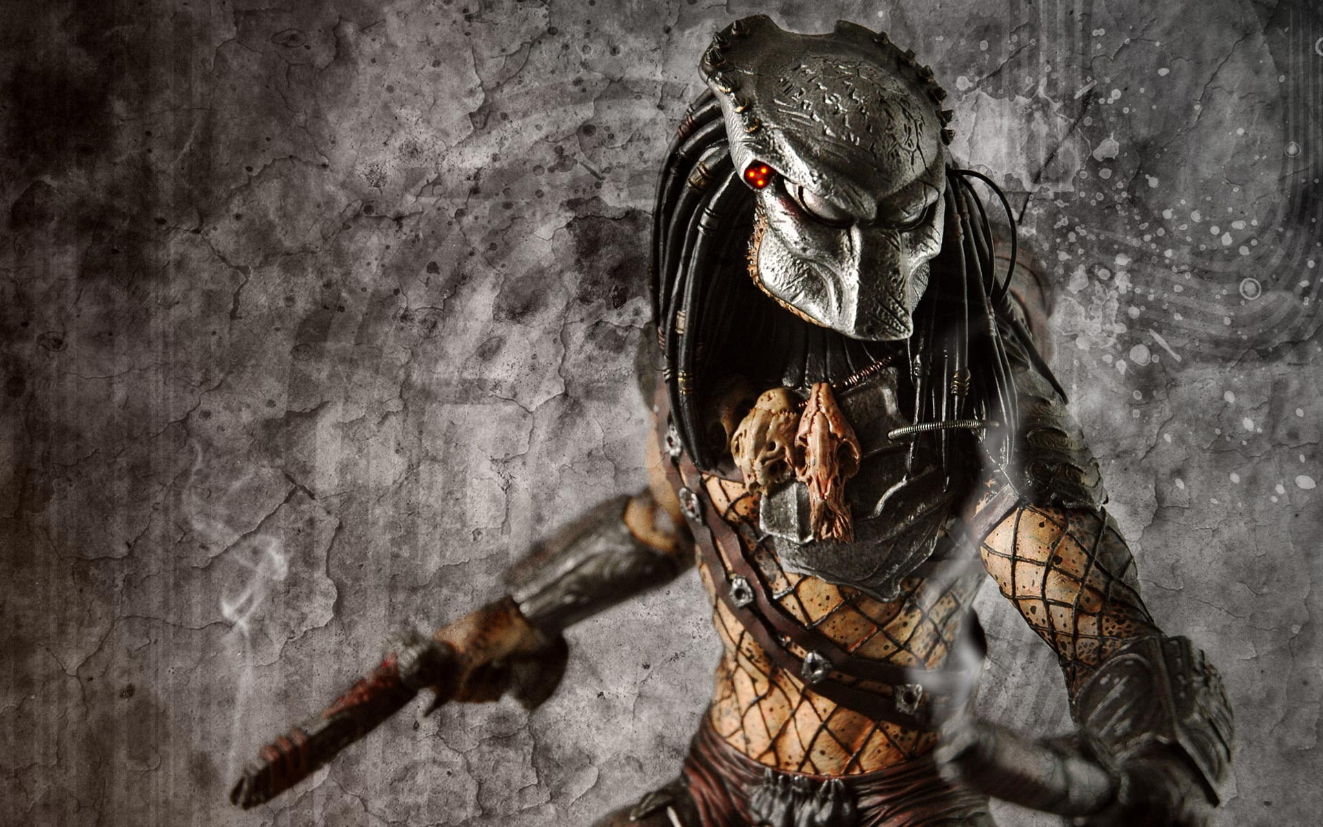 Predator, 1080P, hd, HD Wallpaper