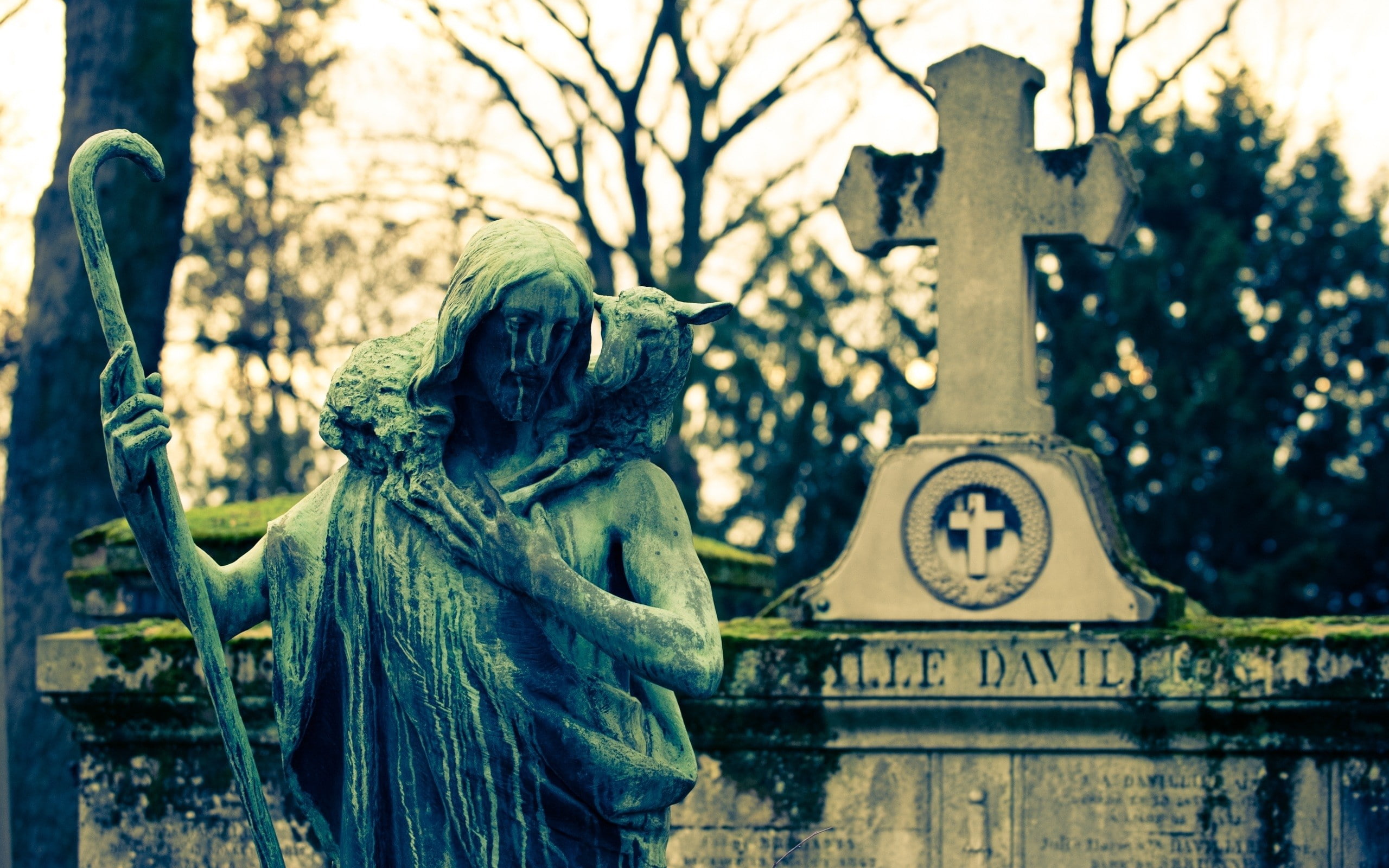 architecture, plant, human representation, Cemetery, 2K, statue, focus on foreground, art and craft, outdoors, craft, grave, tree, representation, nature, HD Wallpaper