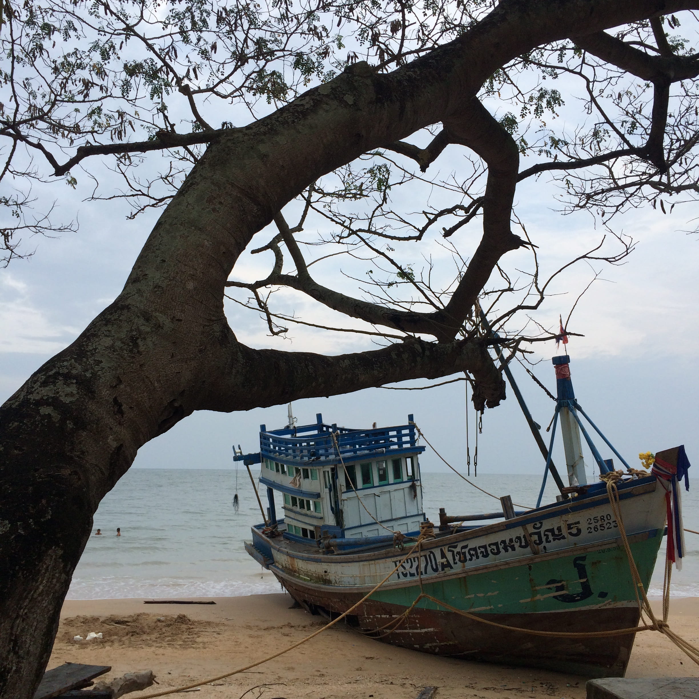 day, tree trunk, transportation, worthless, travel, the old boat, land, tranquility, mode of transportation, beauty in nature, beach, no people, trunk, Phone HD Wallpaper