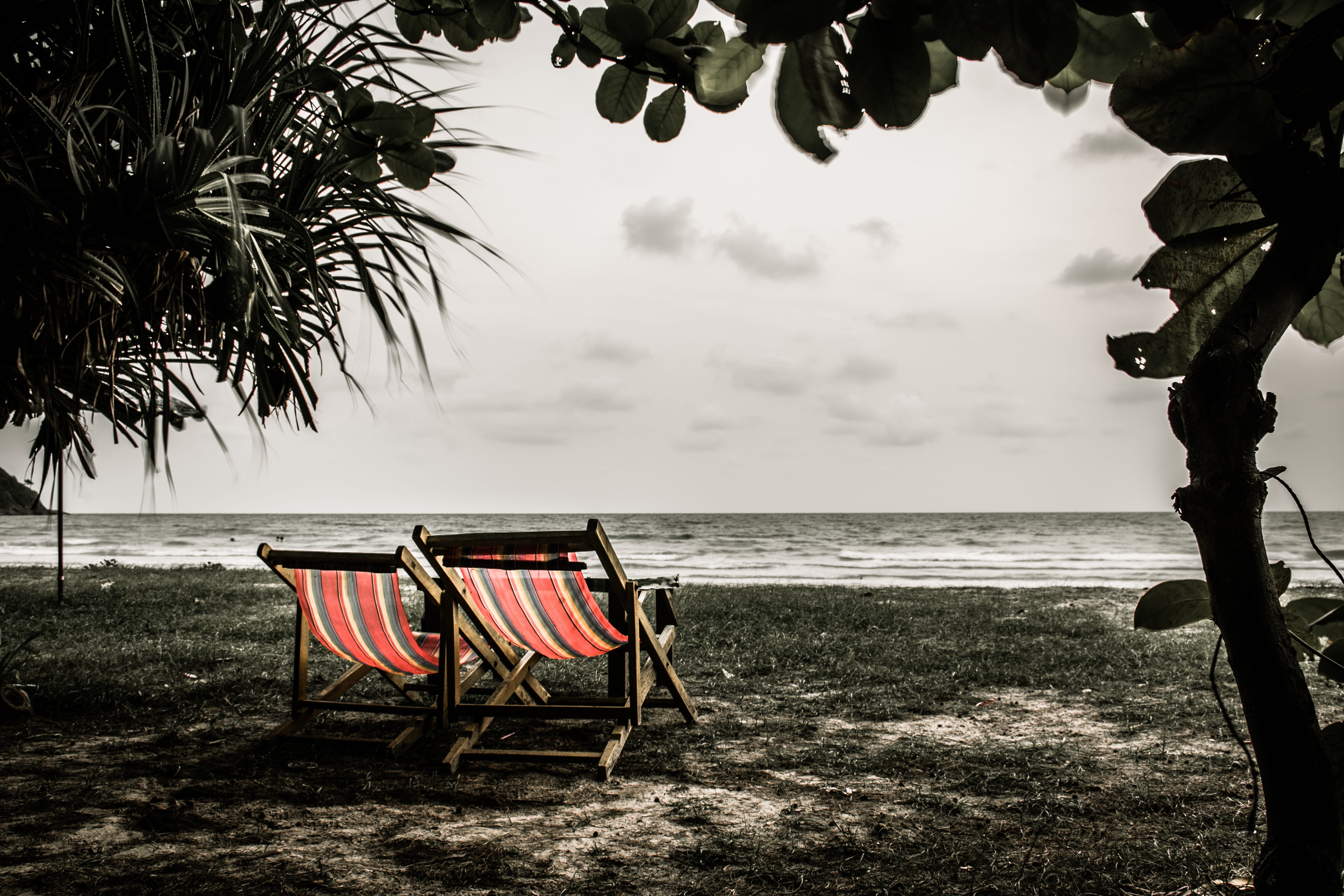 plant, tranquil scene, absence, outdoors, tree, beach, thailand, 5K, horizon, worthless, water, chair, land, seat, sadly, sky, nature, no people, seaside, HD Wallpaper