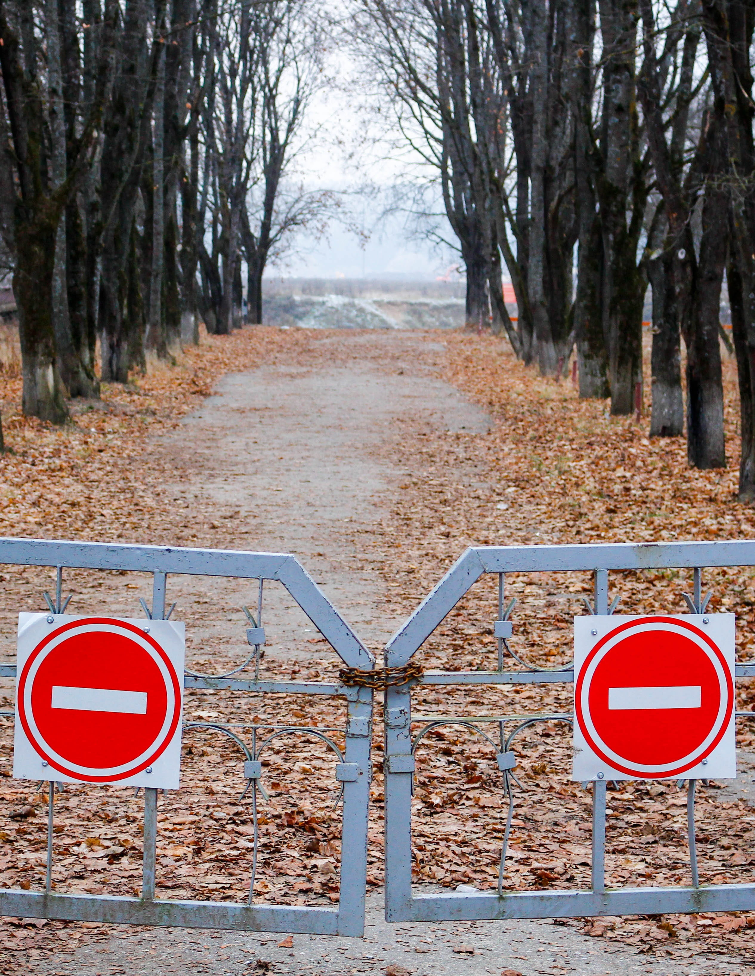 nature, road sign, warning sign, pedestrian, 2K, road, stop sign, direction, red, guidance, alley, land, stop, closed, communication, plant, sign, only pedestrians, Phone HD Wallpaper