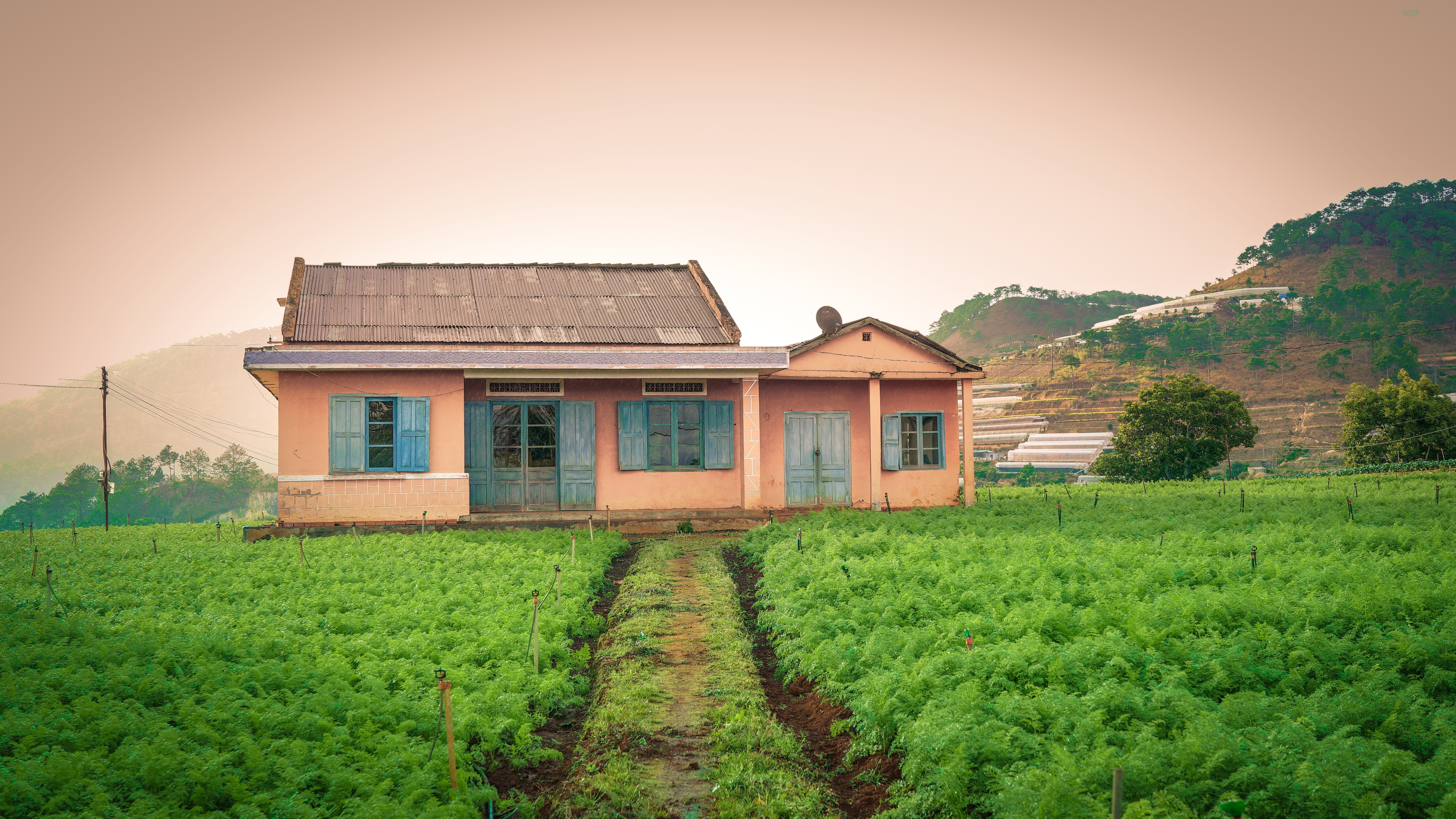 rural scene, architecture, residential district, field, agriculture, environment, plant, farm, growth, nature, building exterior, no people, sky, grass, HD Wallpaper