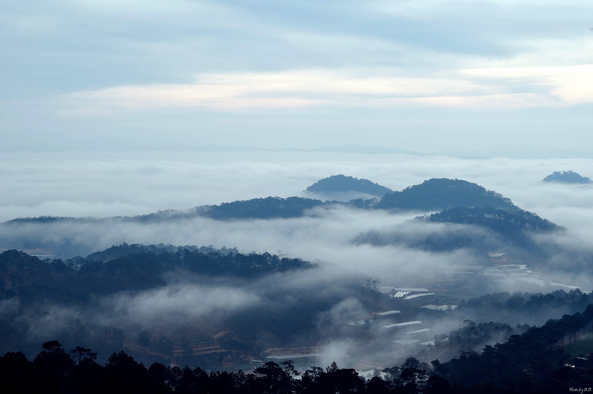 day, dalat, fog, 1080P, cloud, tranquil scene, hazy, scenics - nature, outdoors, plant, nature, beauty in nature, sky, mountain range, tranquility, no people, HD Wallpaper