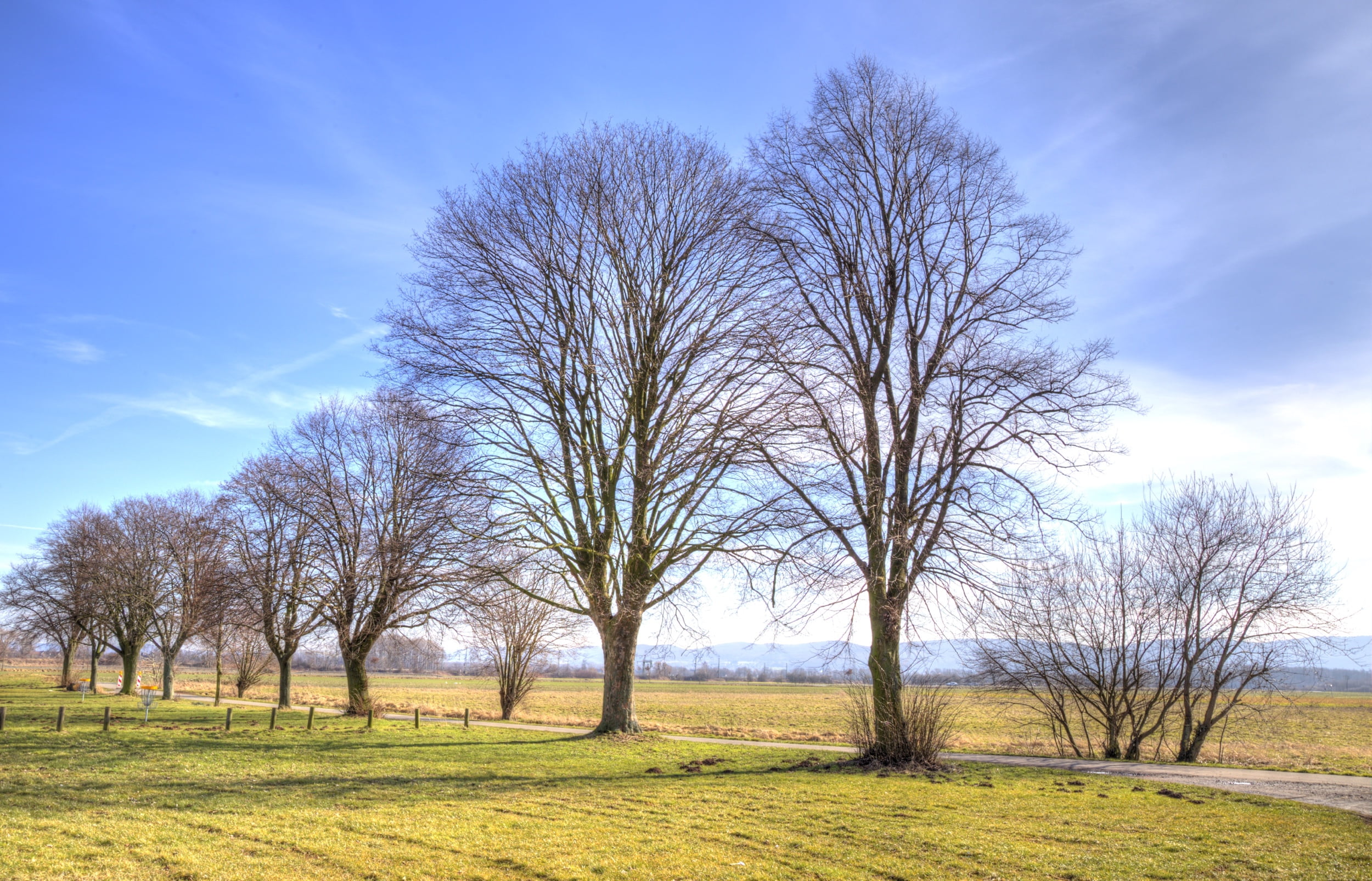 blue, natur, Sky, germany, Minden, ciel, rural Scene, Weser, grasses, awesome, water, Meulen, season, baretrees, Moulin, 1080P, processing, Bäume, green, HD Wallpaper