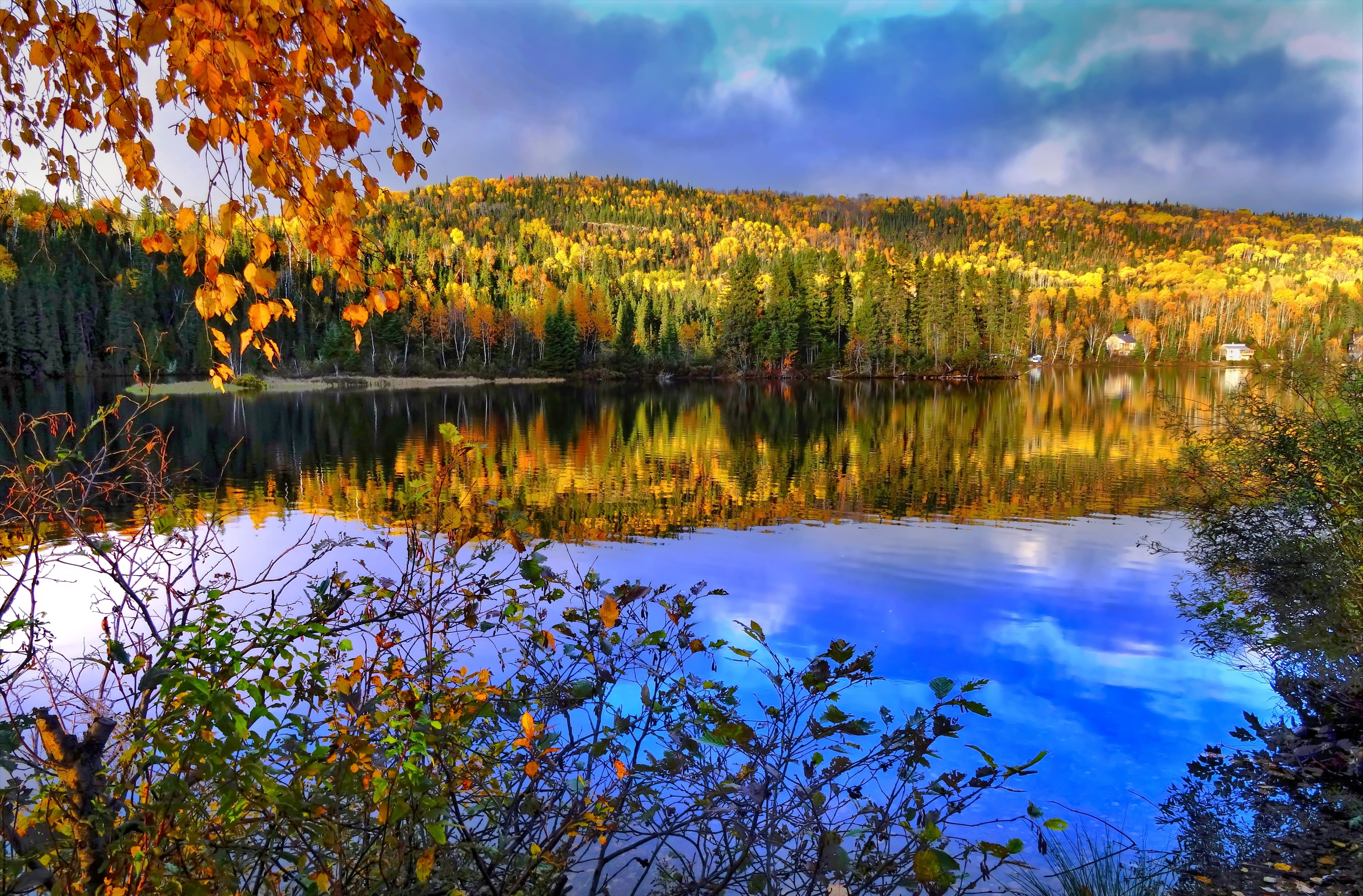 water, orange, body, leaf, idyllic, reflection, daytime, blue, cloud - sky, trees, fall, autumn landscape, autumn, tranquil Scene, orange Color, tree, Nature, HD Wallpaper