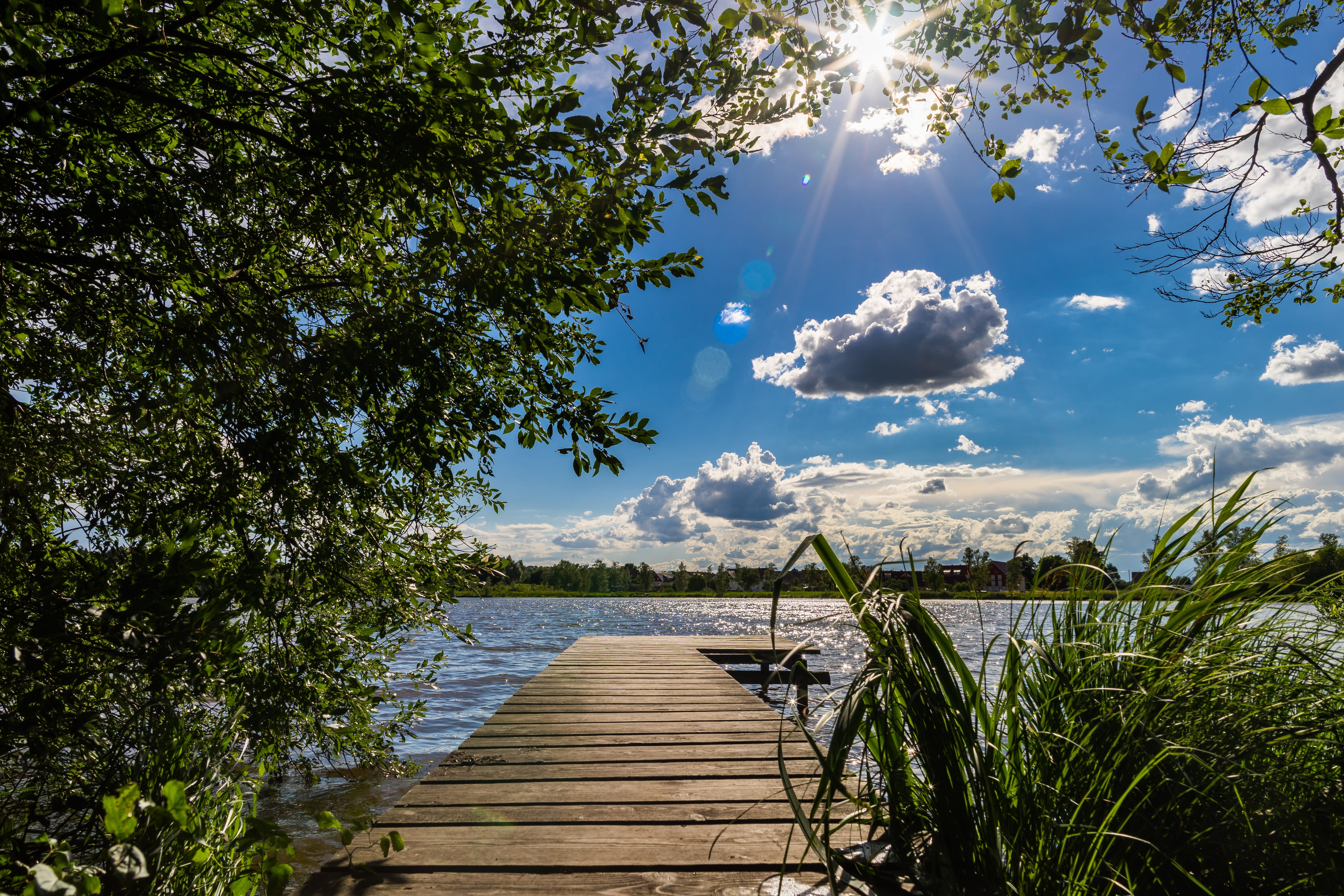 sunlight, grasses, cloud - sky, tree, clouds, blue, beauty in nature, water lilies, tranquility, photo, scenic, forest, scenics - nature, reflections, background, HD Wallpaper