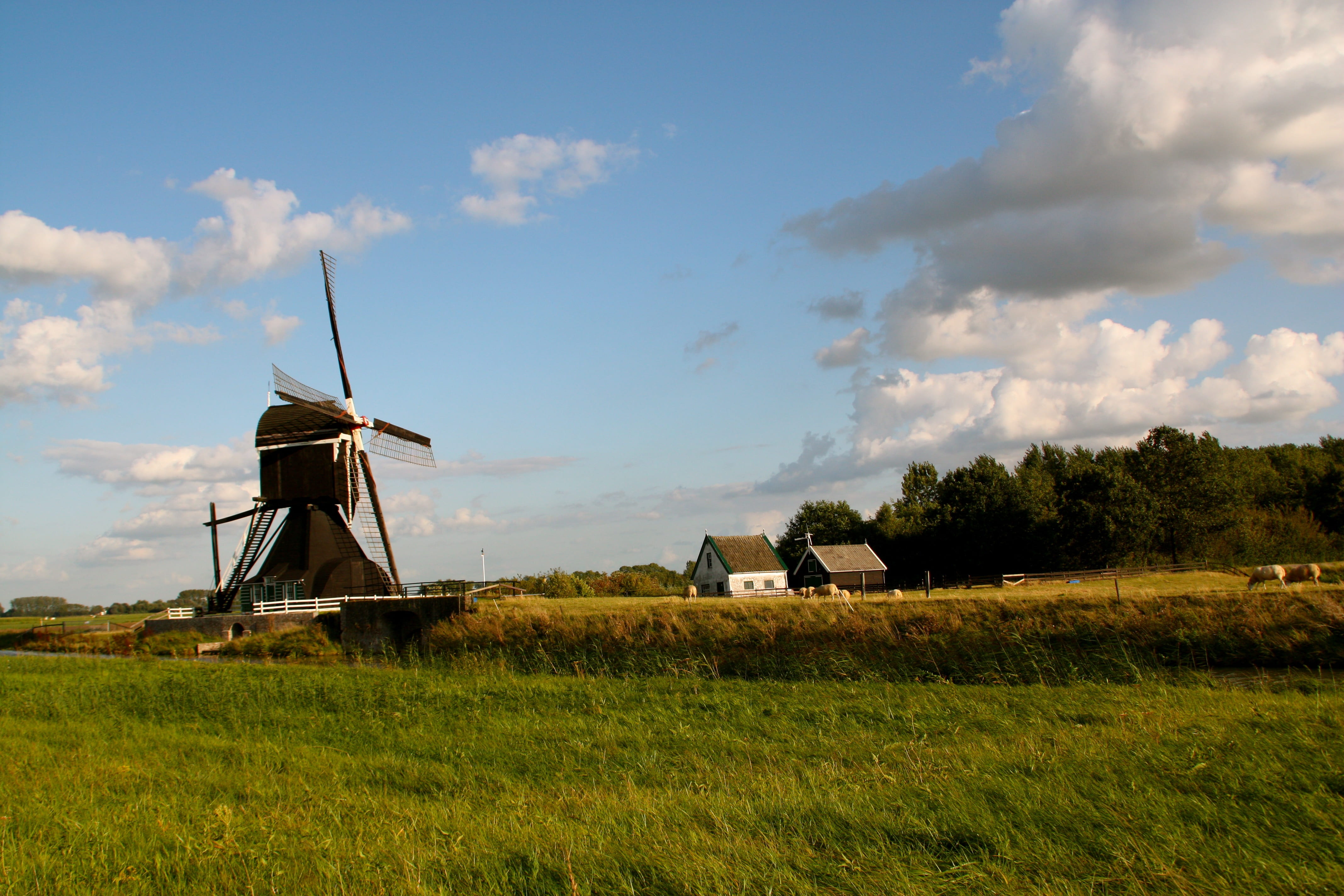 grass, canal, scene, plant, europe, water, cloud - sky, outdoors, day, cloud, fuel and power generation, history, river, traditional windmill, nature, wind, HD Wallpaper