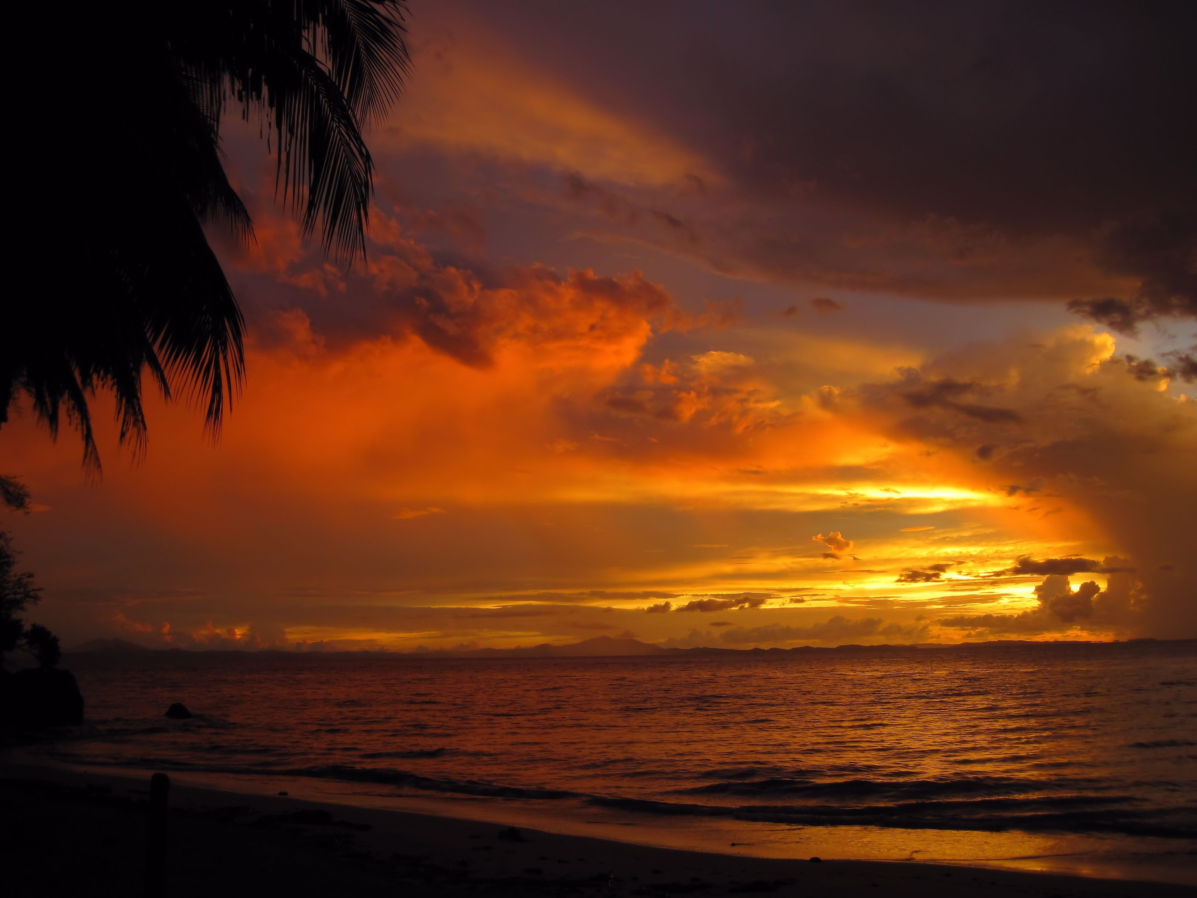 sea, silhouette, clouds, tree, 4K, water, body, sky, scenics - nature, horizon over water, brown, orange color, tranquility, idyllic, wooden, sunset, land, HD Wallpaper