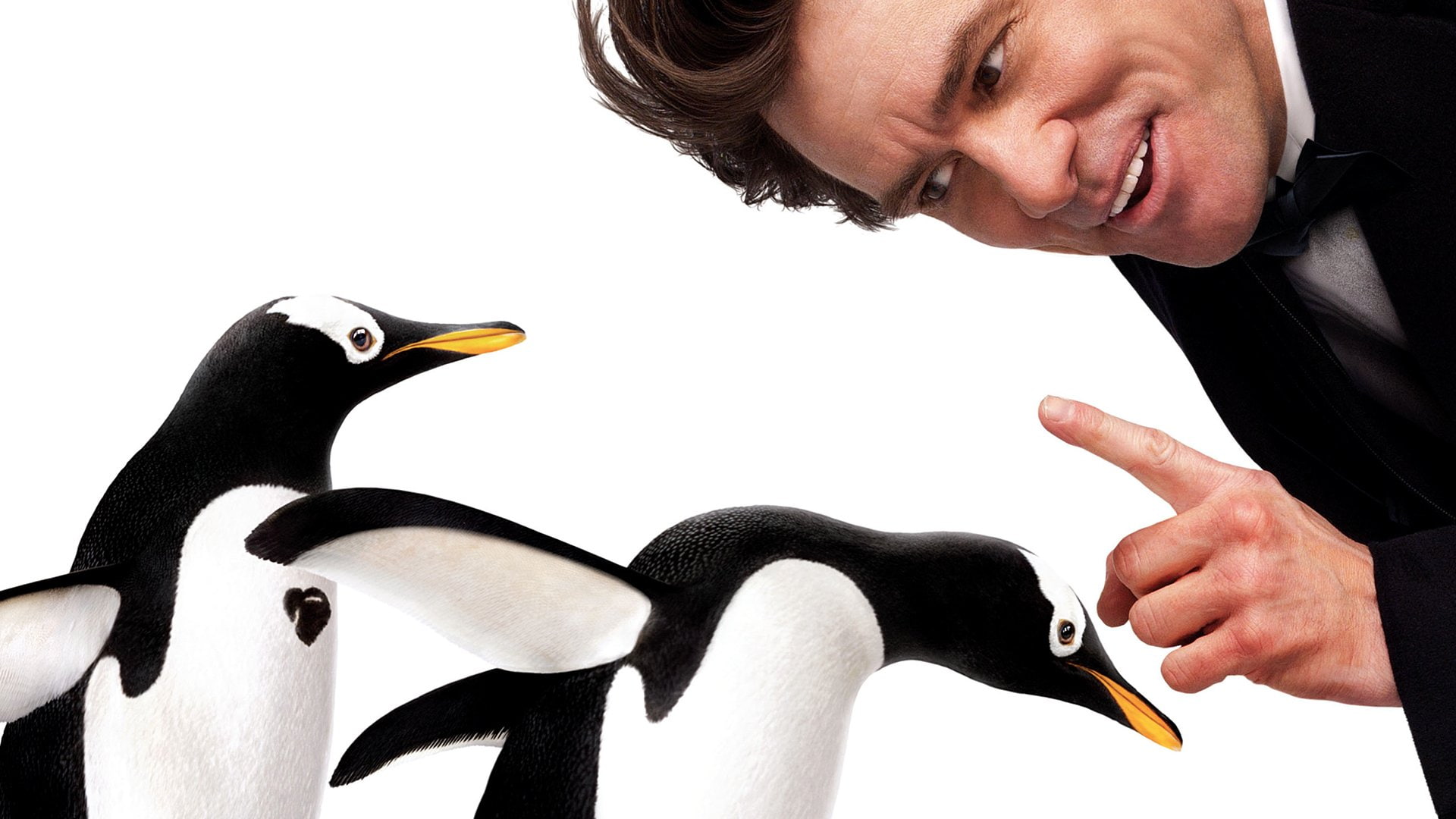 Jim Carrey, 1080P, Movie, Mr. Poppers Penguins, HD Wallpaper