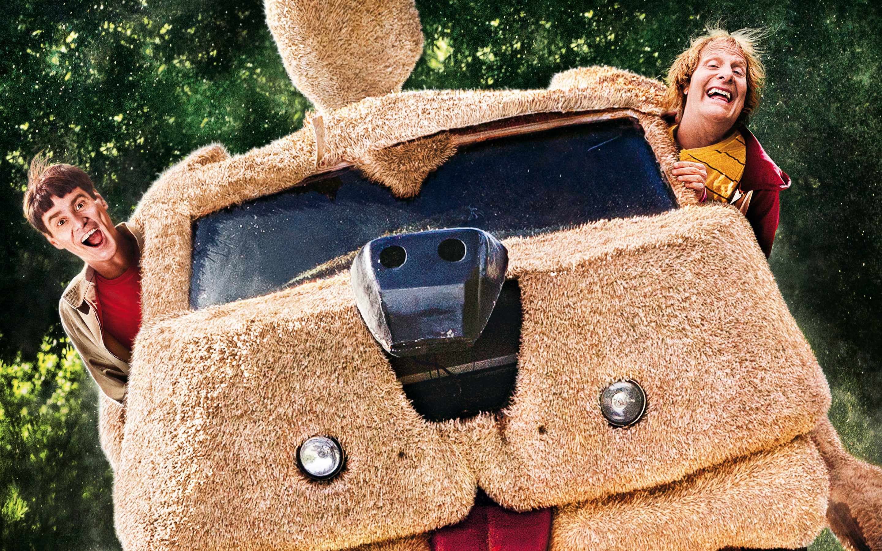 dumb, 2014, 2K, dumber, HD Wallpaper