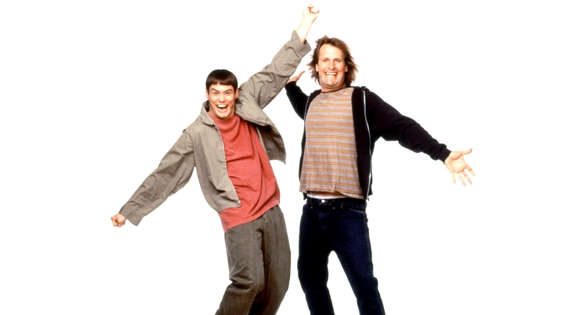 family, dumb, 1080P, dumber, funny, comedy, humor, HD Wallpaper
