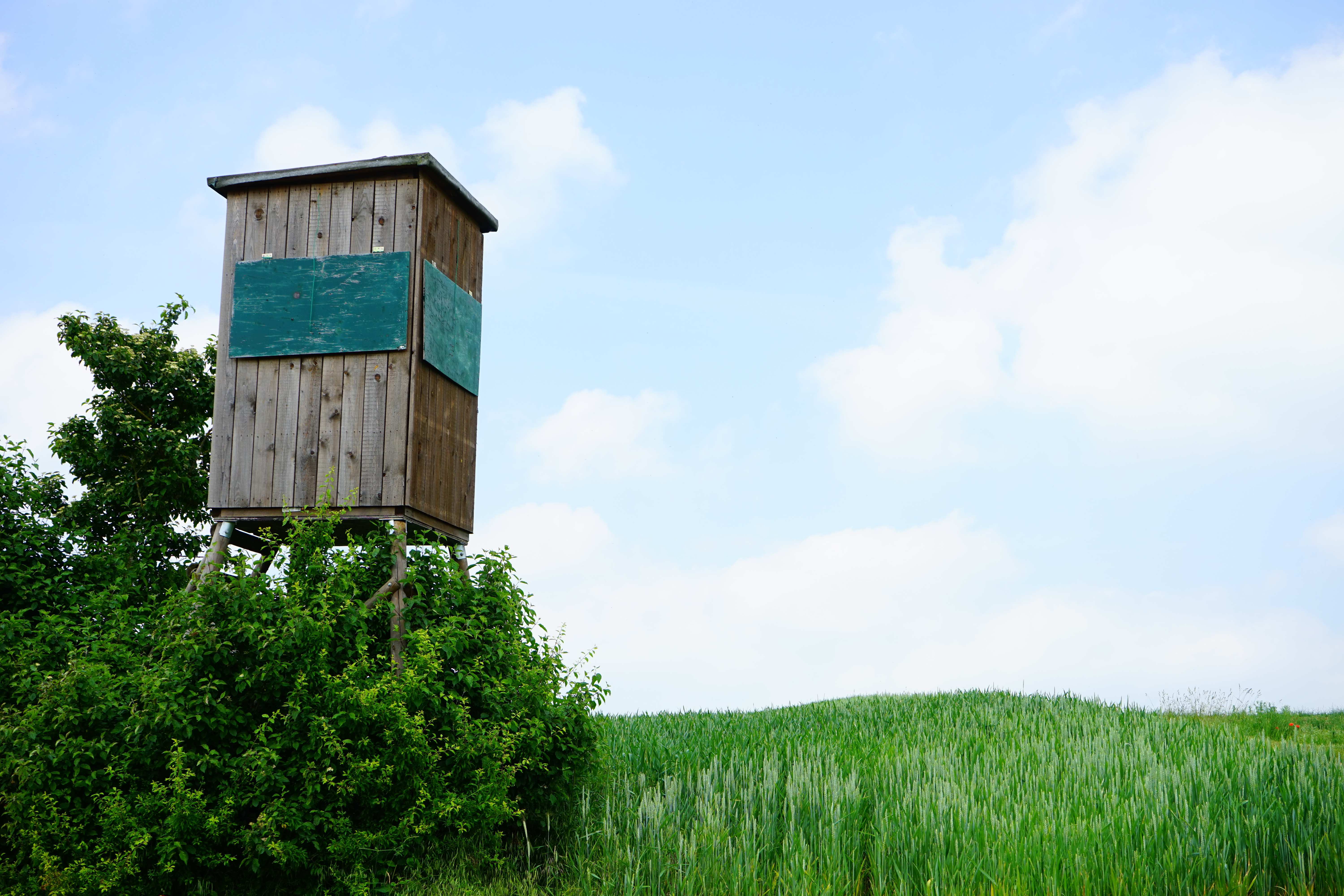 wooden tower, 5K, no people, shoot, cloud - sky, grass, hunt, view, beauty in nature, landscape, outlook, green color, sky, land, shooting range, architecture, HD Wallpaper