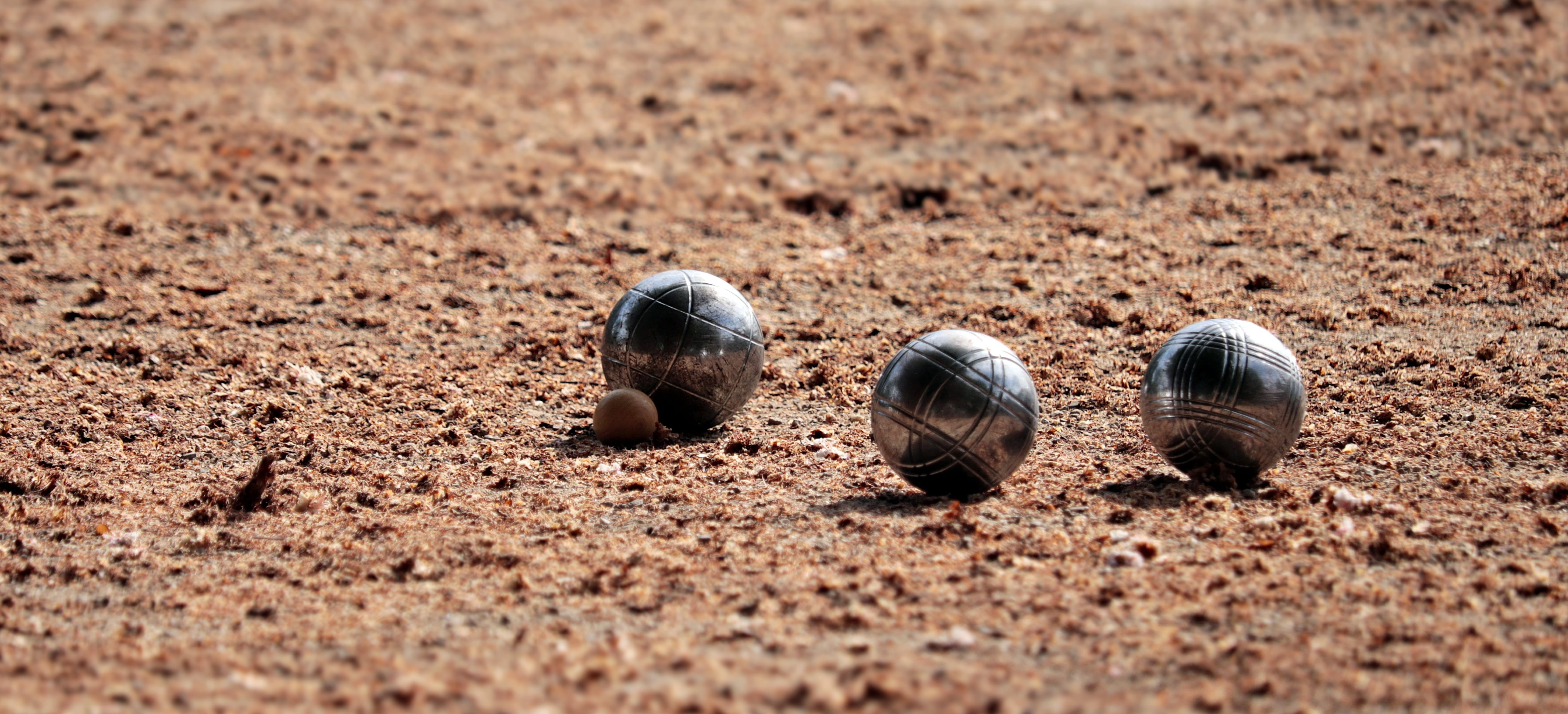 way of life, still life, boule, pleasure, brown, close-up, silver, france, pastime, relax, nature, relaxation, play, animal themes, selective focus, in a row, HD Wallpaper