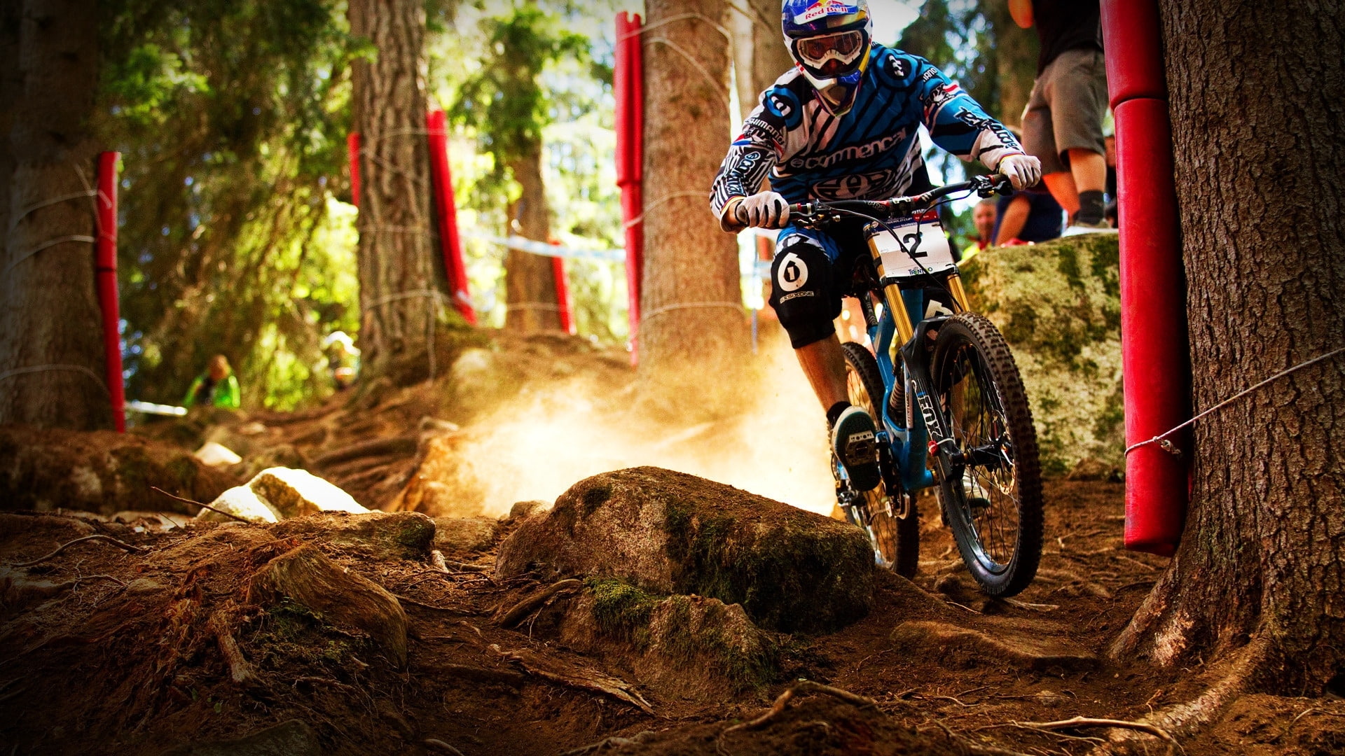 1080P, wood, stones, bicycle, obstacles, HD Wallpaper
