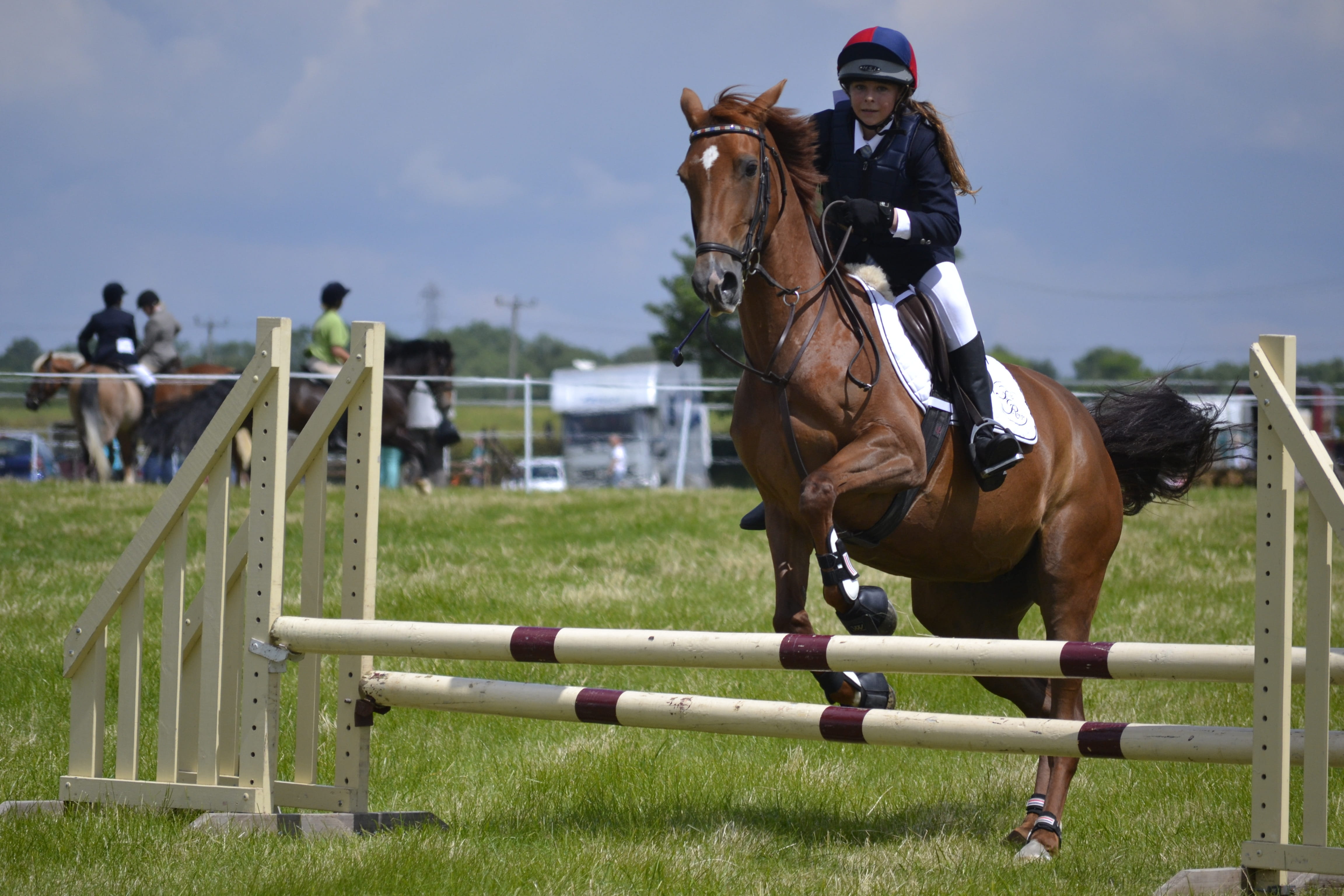 people, brown, hopping, outdoors, activity, animal wildlife, 4K, riding, Fence, domestic, pets, day, girl, obstacle, working animal, course, event, horse, HD Wallpaper