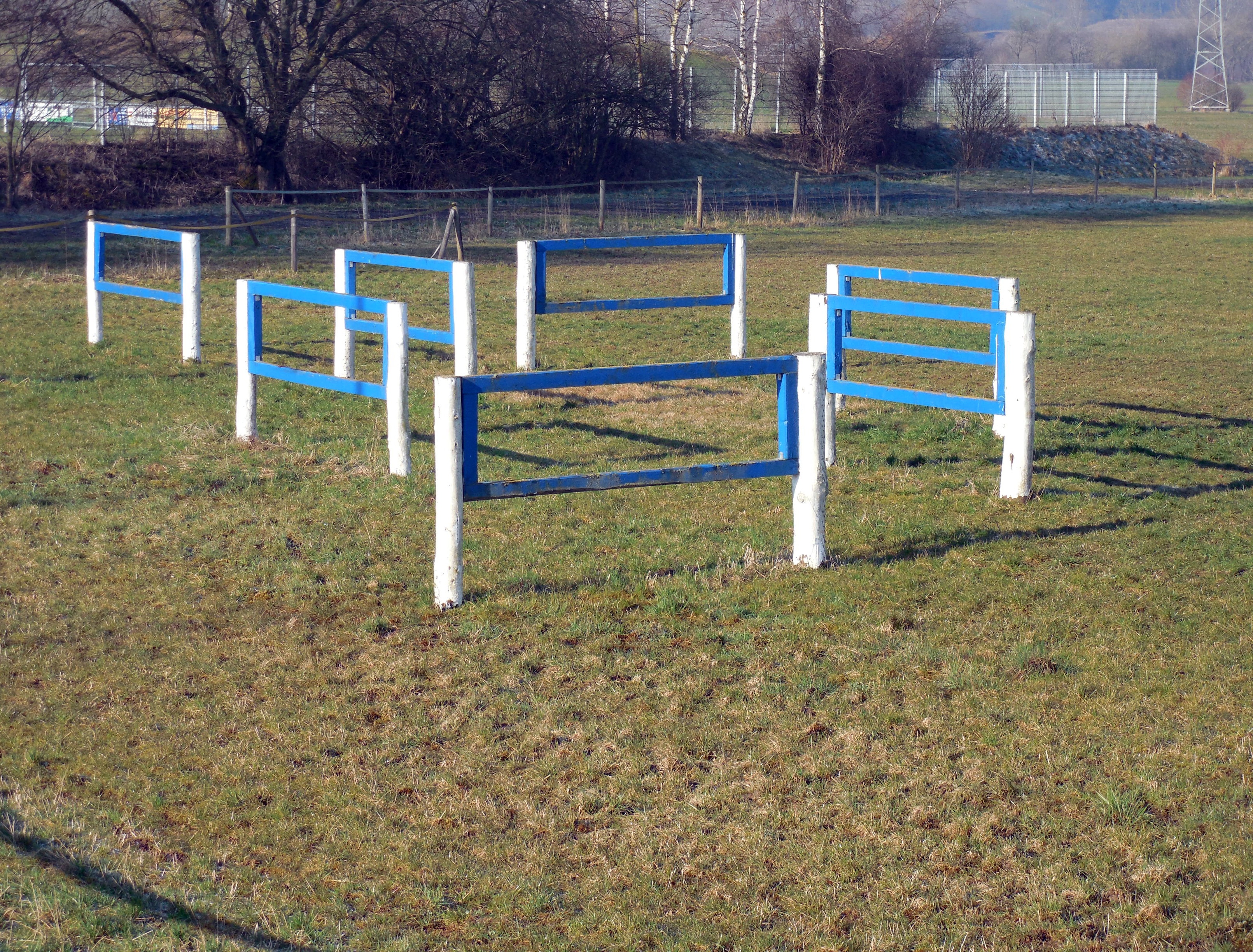 grass, bare tree, absence, plant, tranquility, land, green color, no people, empty, park, field, nature, day, 2K, barrier, fence, park - man made space, HD Wallpaper