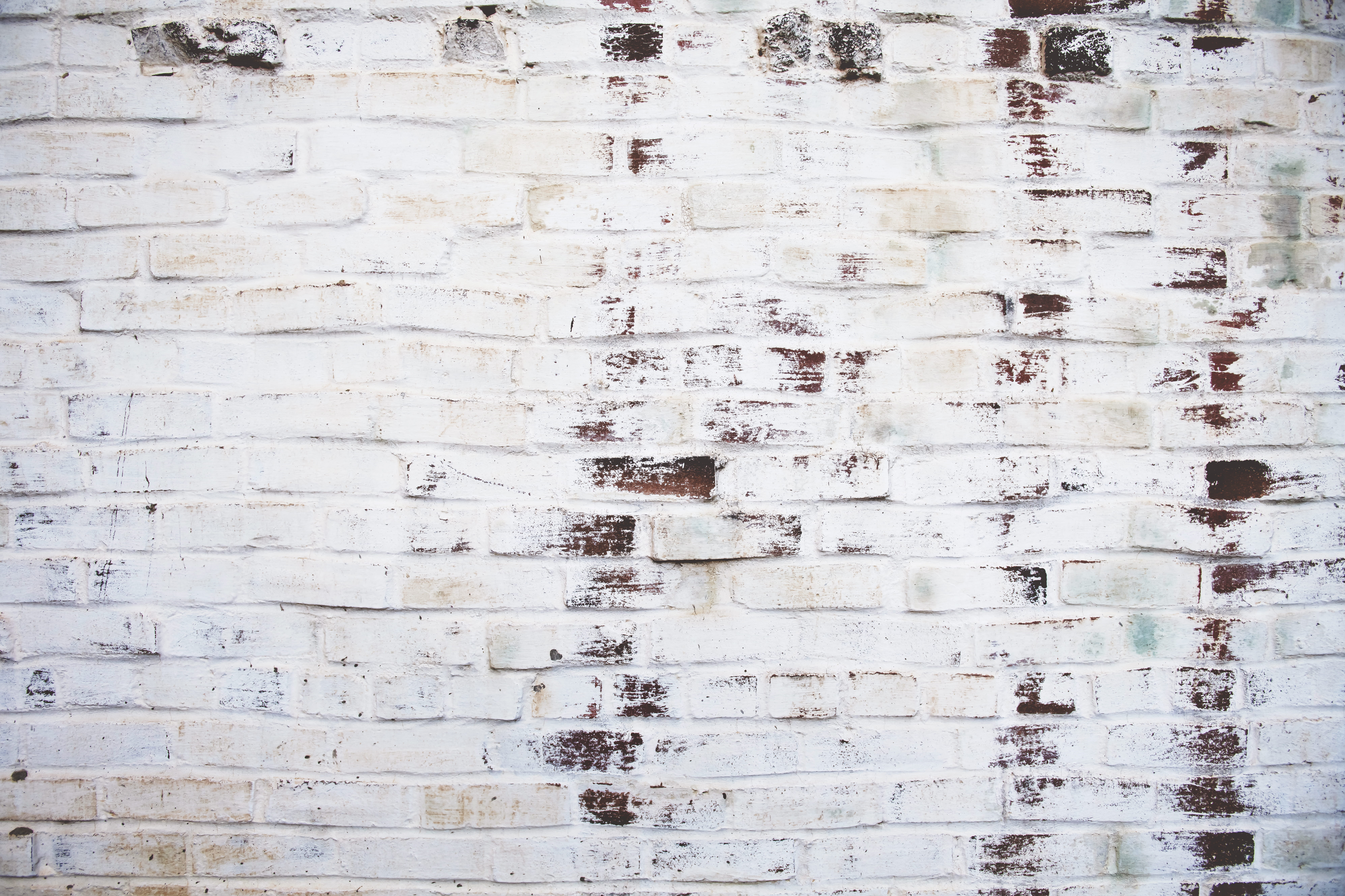brickwall, deterioration, dirty, white, no people, history, brick wall, concrete, run-down, damaged, backgrounds, day, built structure, brickwork, old, HD Wallpaper