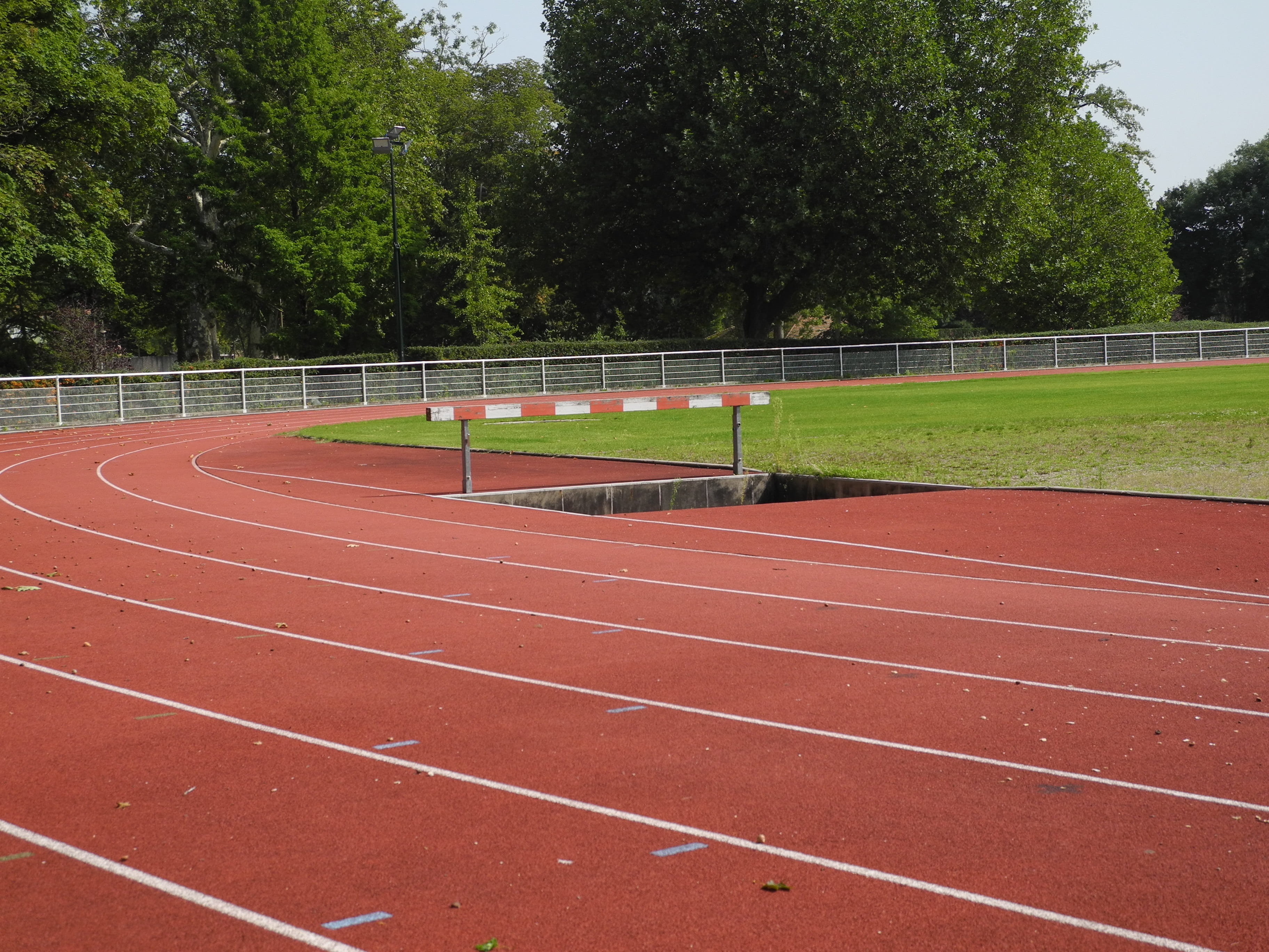 racing, endurance, sprint, transcendence, steeplechase, single line, sport, corridors, stadium, brown, competition, no people, nature, training, day, growth, HD Wallpaper