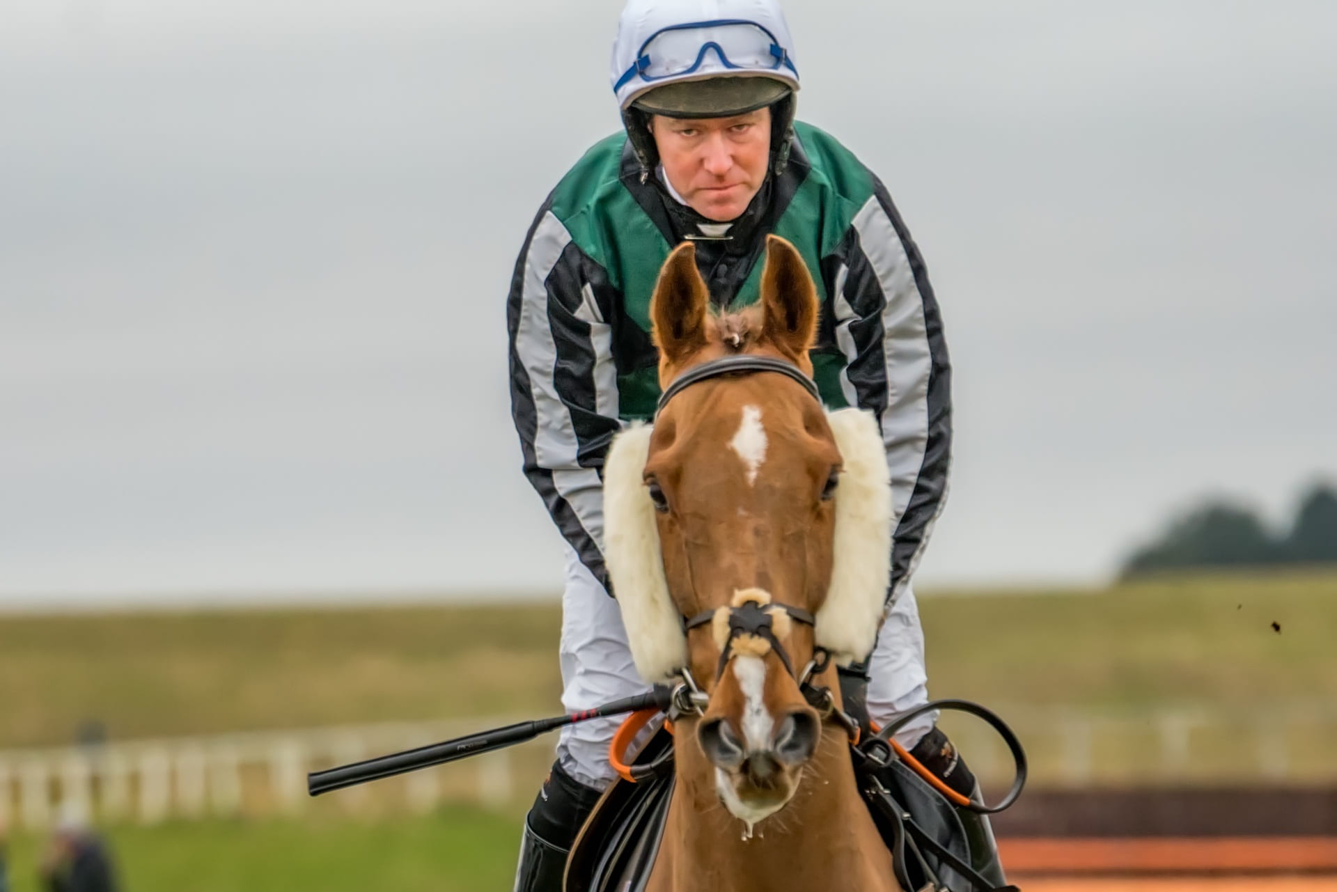 mammal, sport, helmet, animal wildlife, day, one person, 1080P, thoroughbred, riding, front view, rider, clothing, livestock, herbivorous, motion, soil, HD Wallpaper
