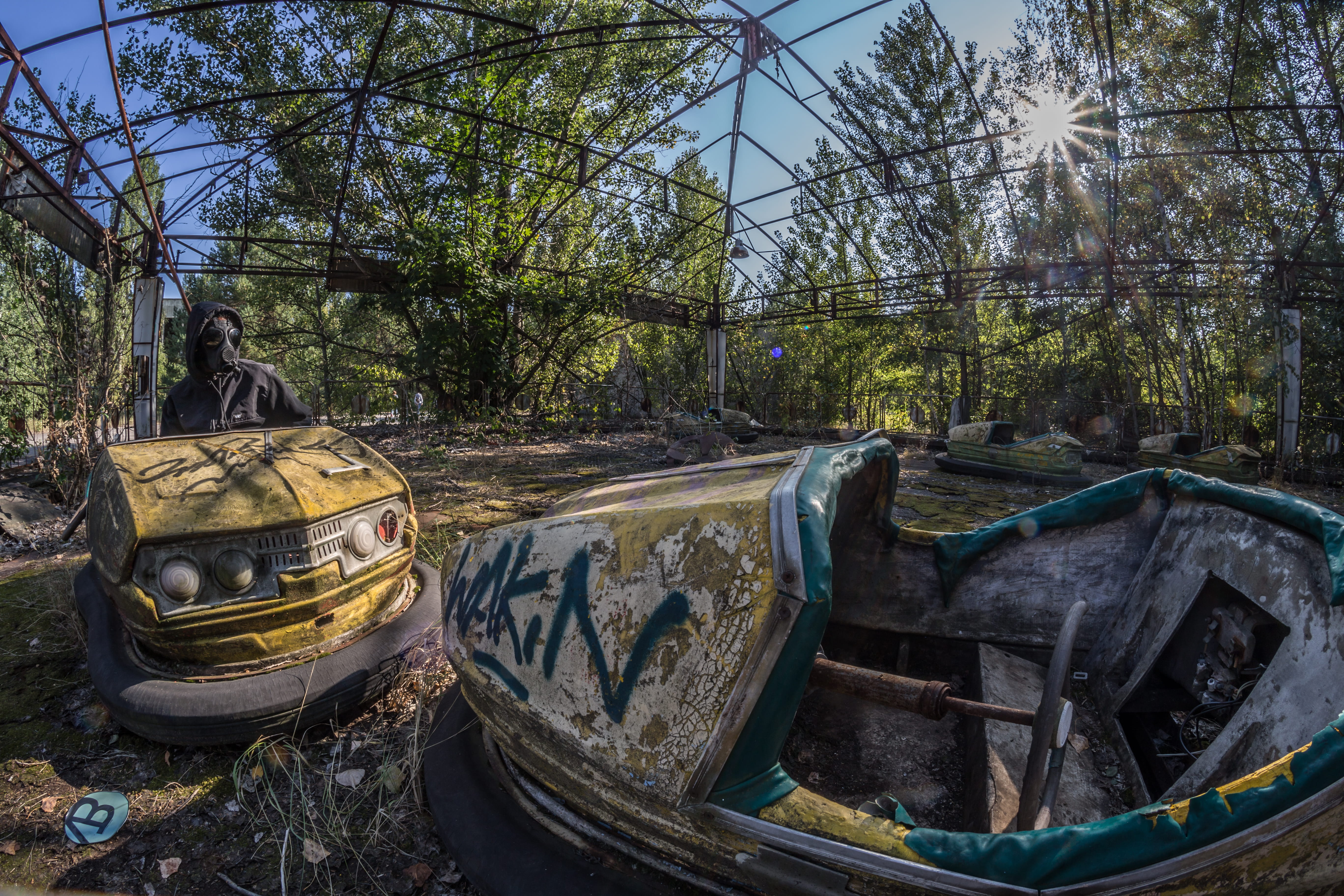 trees, moored, cars, color, rowboat, waste, decline, dirty, daylight, environment, desolate, water, tree, sunlight, garbage, yellow, landscape, wrecked, HD Wallpaper