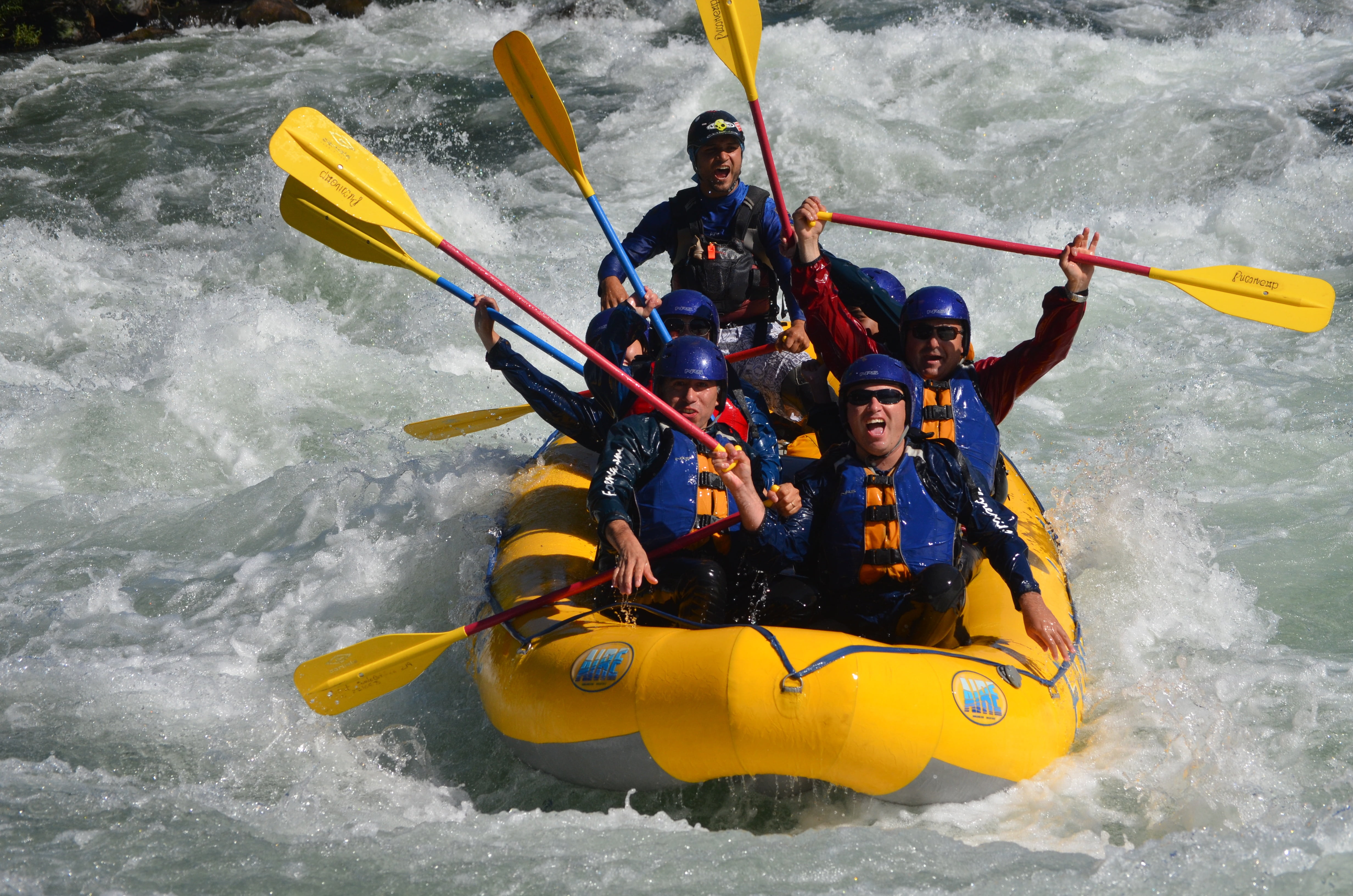nature, paddles, positive emotion, victoria, togetherness, rafting, union, men, recreational Pursuit, water, transportation, kayaking, holding, wet, 4K, HD Wallpaper