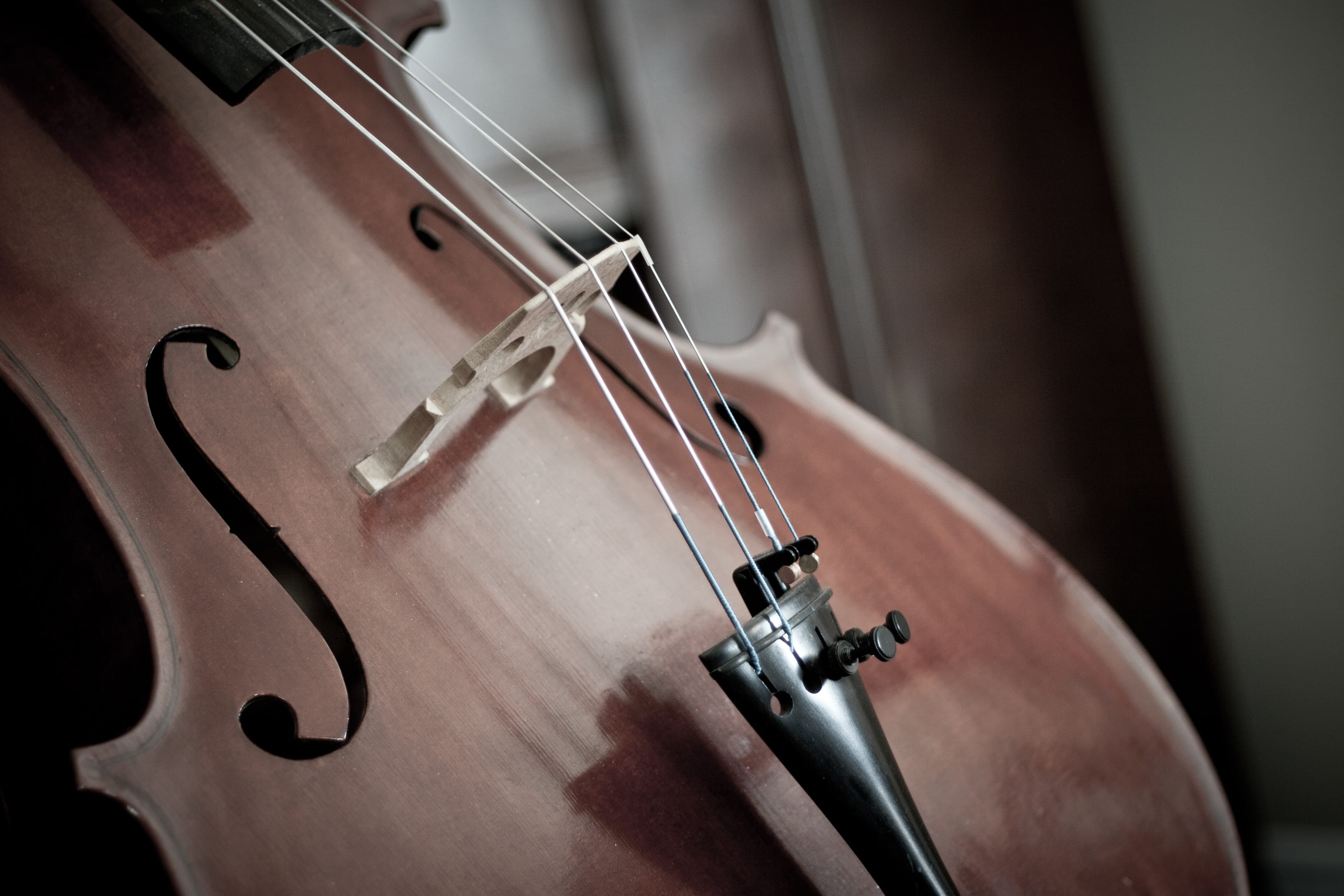 wood - material, stringed instrument, string, music, brown, close-up, musical instrument, arts culture and entertainment, classical music, detail, close, HD Wallpaper