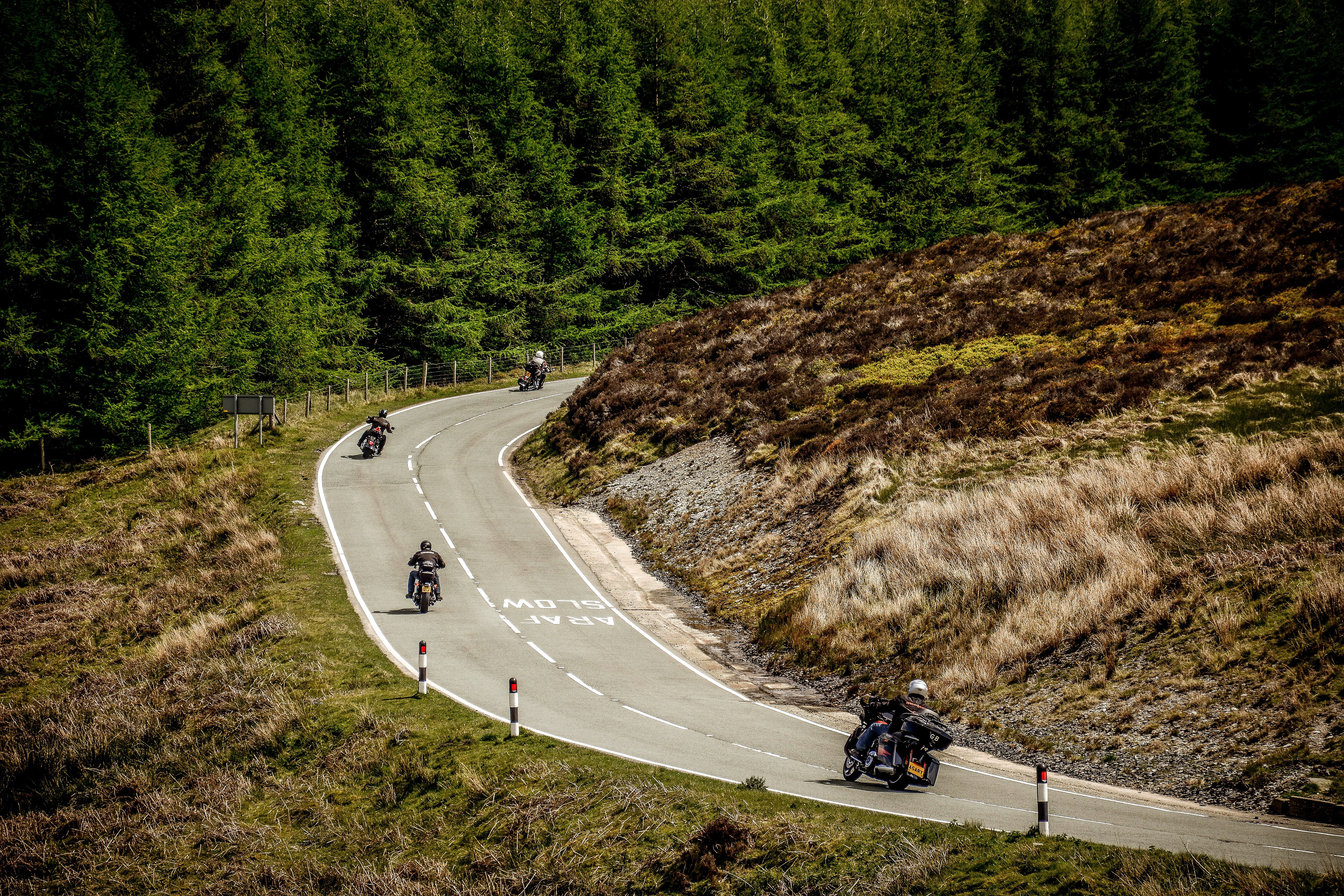5K, land, transportation, corner, mountain, lifestyle, scenery, forest, trees, four, sport, mountain road, people, riding, motorcycles, nature, Road, green Color, HD Wallpaper