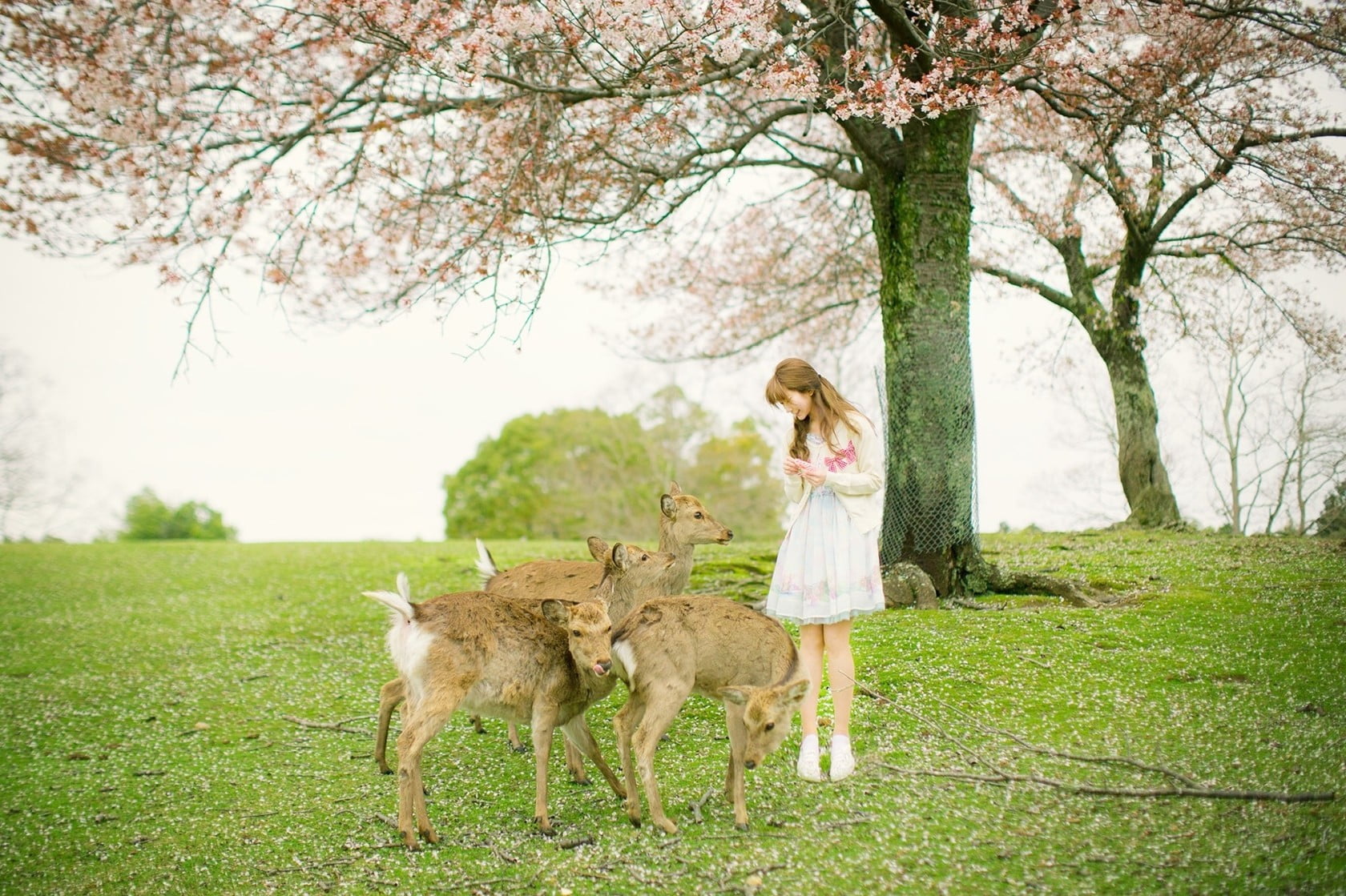 model, plant, women, one person, hairstyle, standing, full length, tree, child, outdoors, grass, pets, day, hair, fashion, girls, nature, mammal, Yurisa Chan, HD Wallpaper
