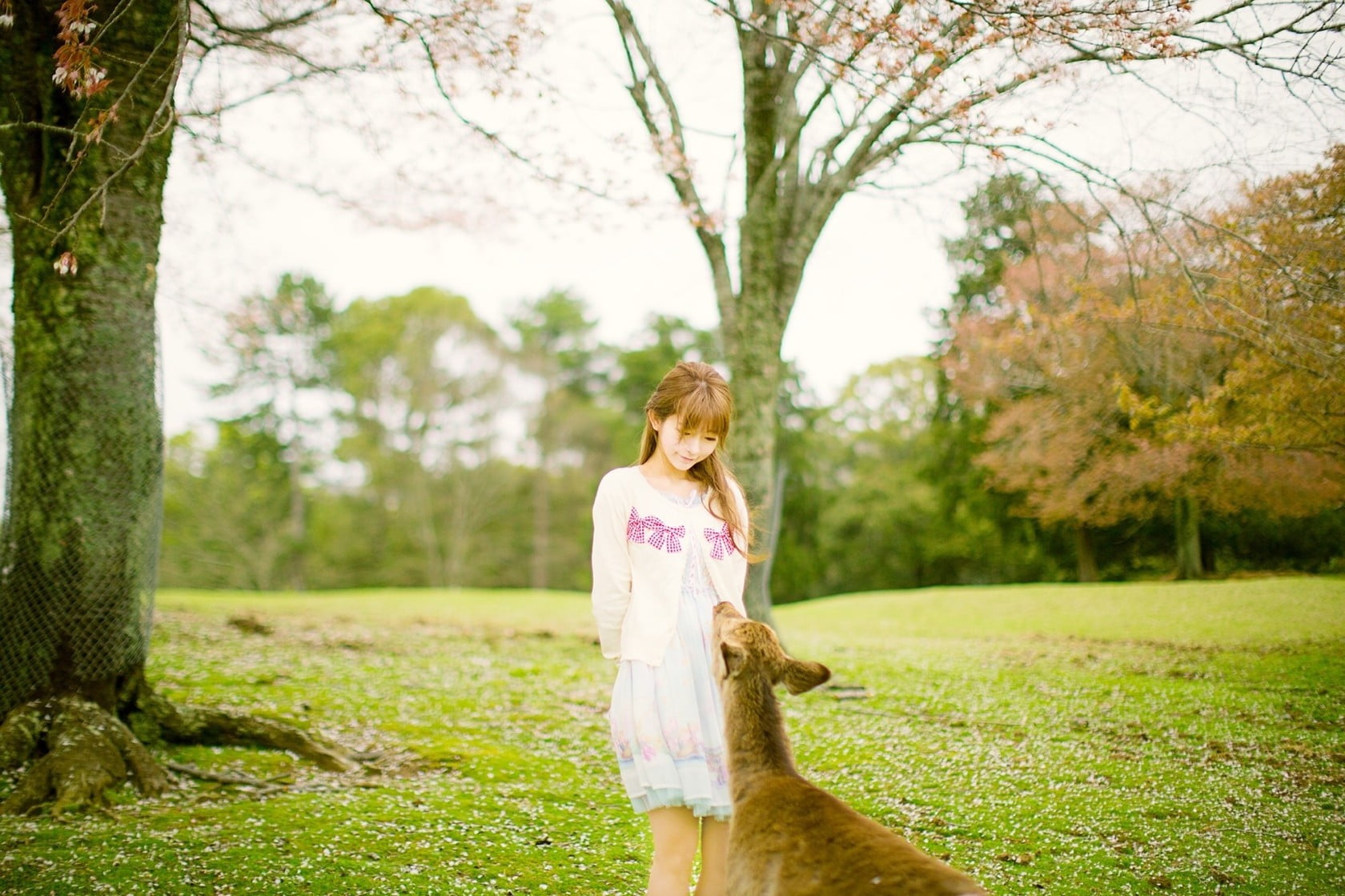 fashion, innocence, standing, field, model, tree, leisure activity, real people, land, grass, Yurisa Chan, three quarter length, forest, day, nature, dress, HD Wallpaper