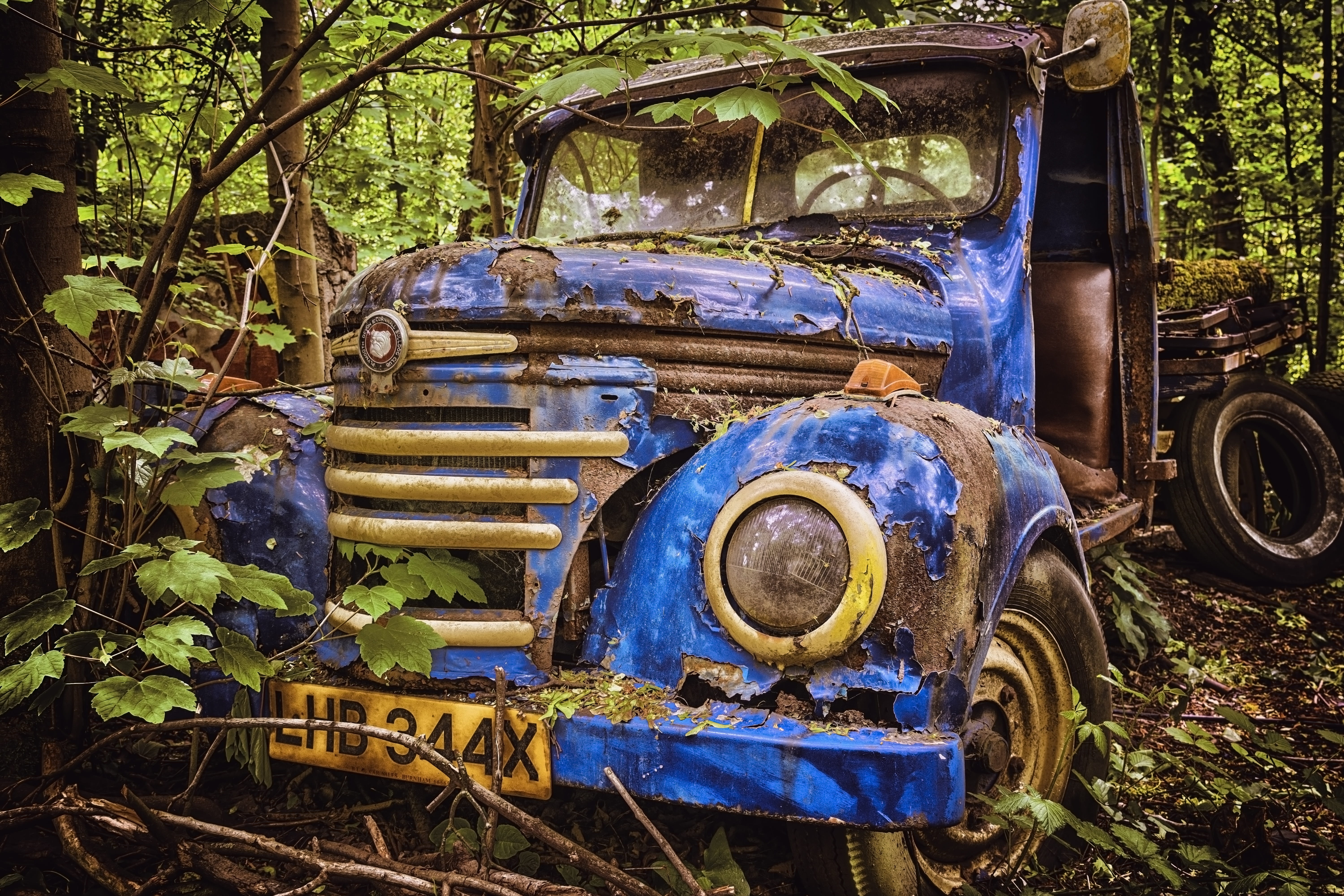 no people, tree, deterioration, stainless karre, stationary, scrap, damaged, rust, tire, defect, mode of transportation, obsolete, pkw, rusted, car wreck, HD Wallpaper