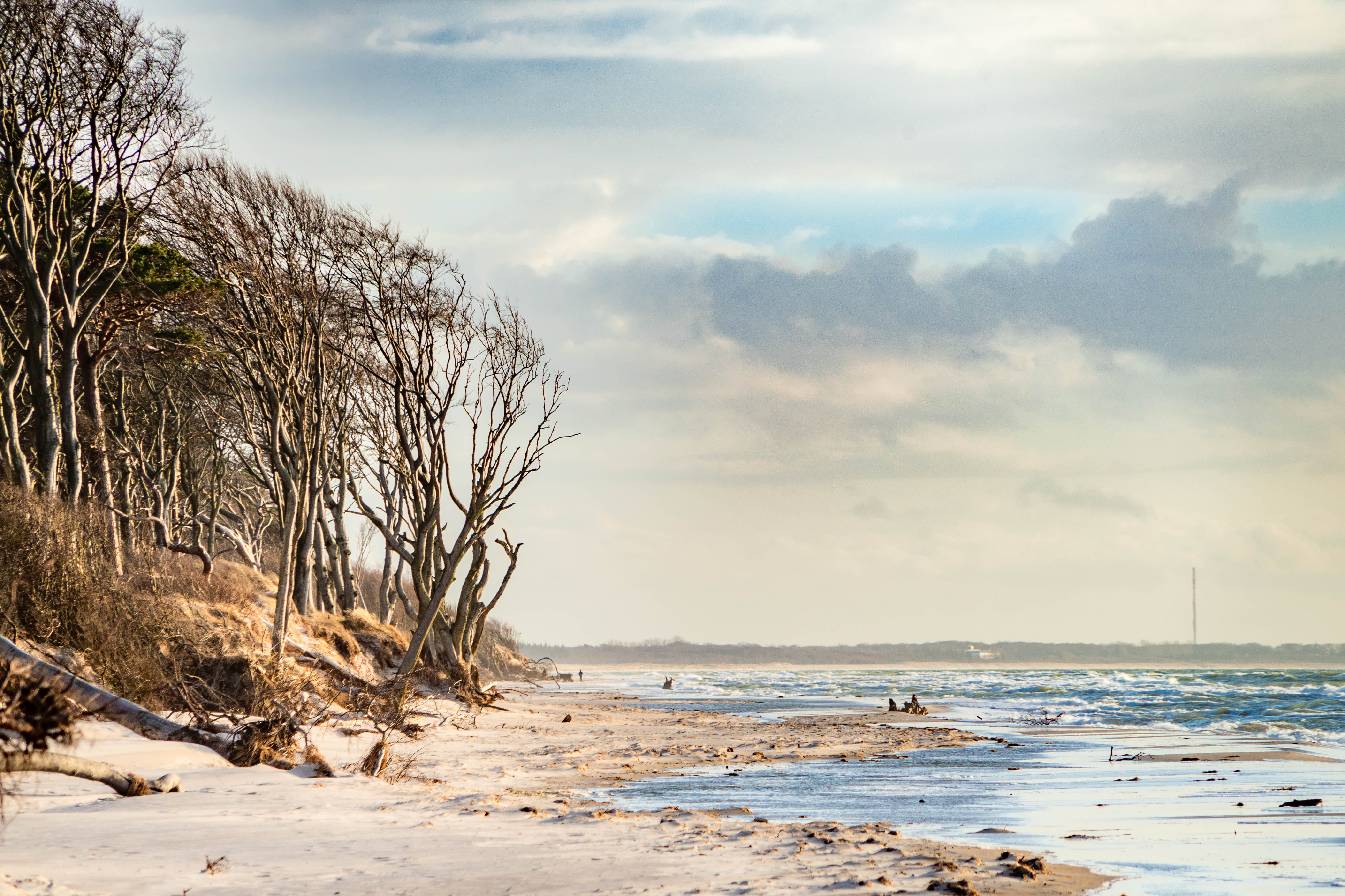national park, beach, 5K, evening light, plant, baltic sea, cloud - sky, west beach, nature, winter, landscape, sea, spray, tree, tranquil scene, water, HD Wallpaper