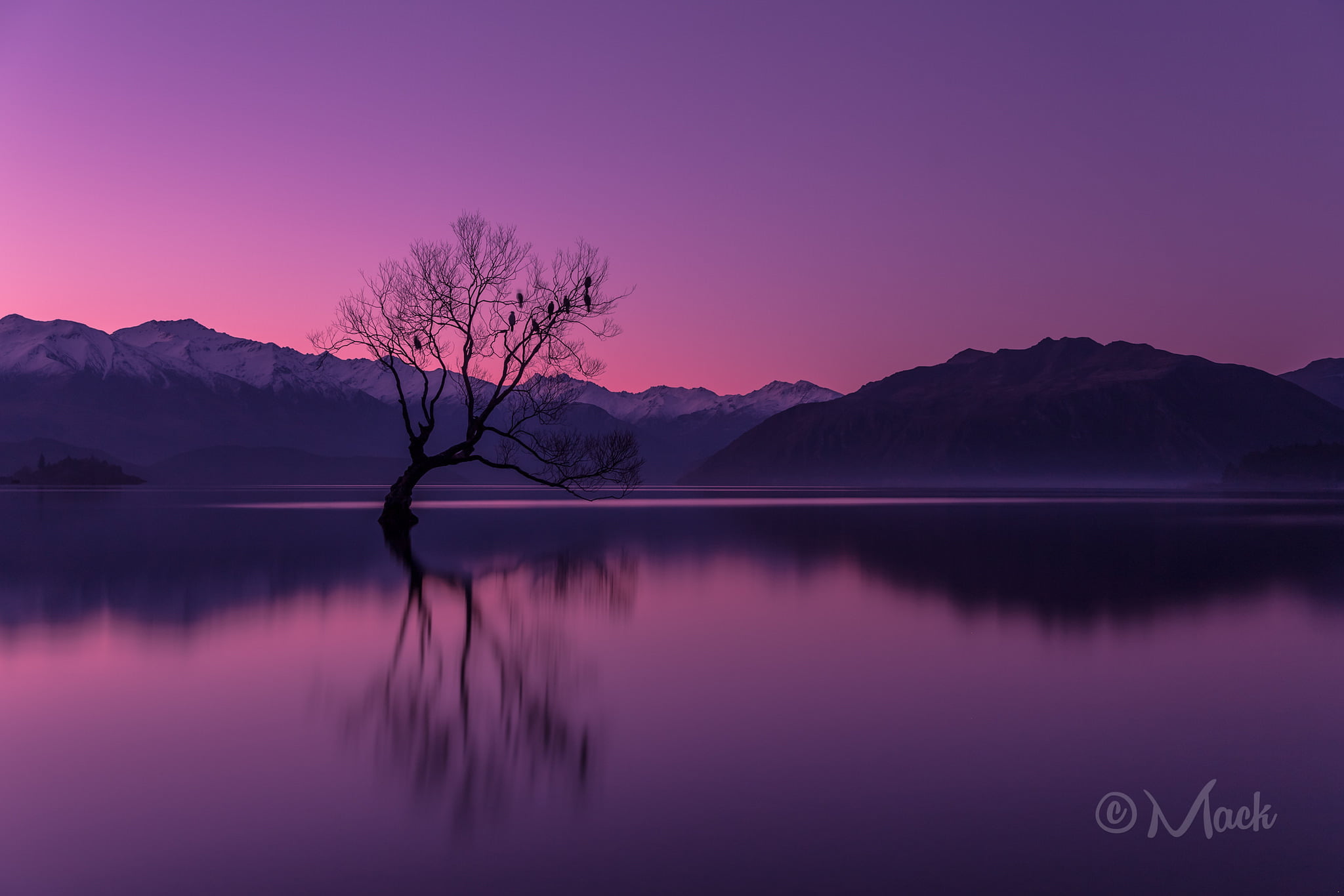 snowcapped mountain, reflection, mountains, scenics - nature, the sky, romantic sky, non-urban scene, mountain, sky, outdoors, water, purple, the evening, HD Wallpaper