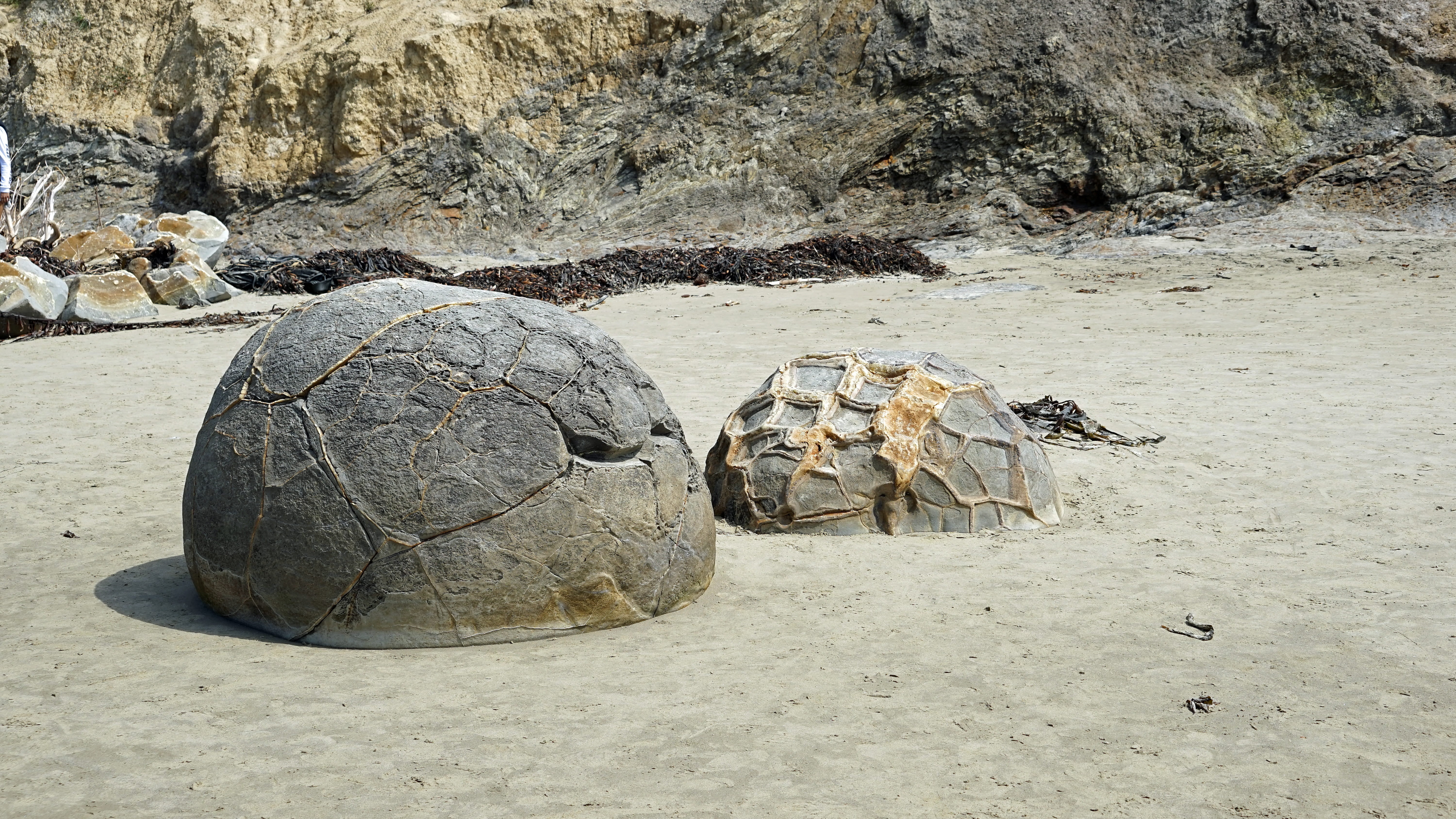 gray, animal wildlife, solid, rock - object, water, no people, day, shell, animal shell, two, outdoors, animal themes, turtle, 5K, huge balls, daytime, HD Wallpaper