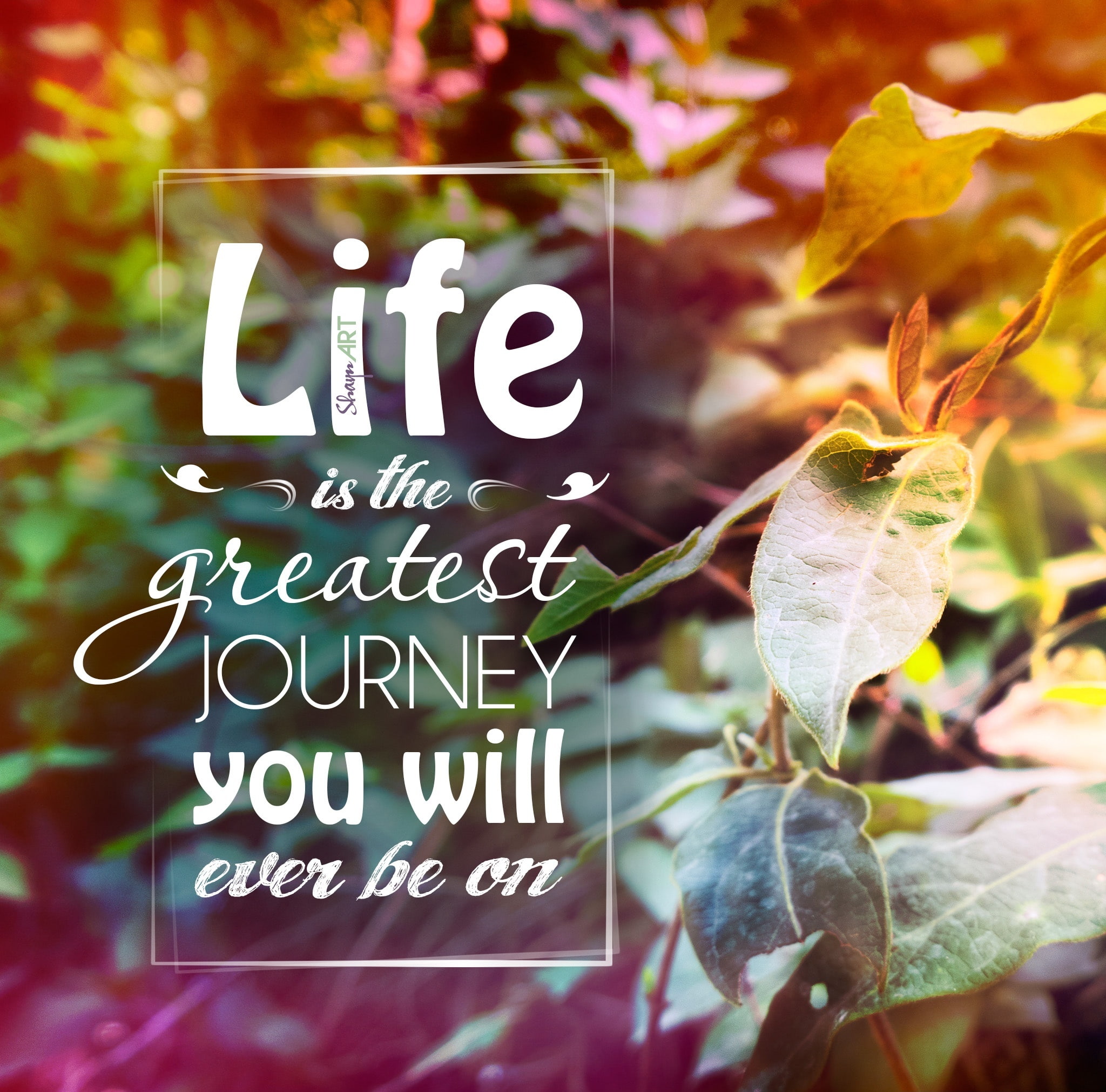 day, wisdom, print, no people, 1080P, leaf, nature, you will ever be on, Typography, green, blue, pink, business, food and drink, blackboard, greatest journey, HD Wallpaper