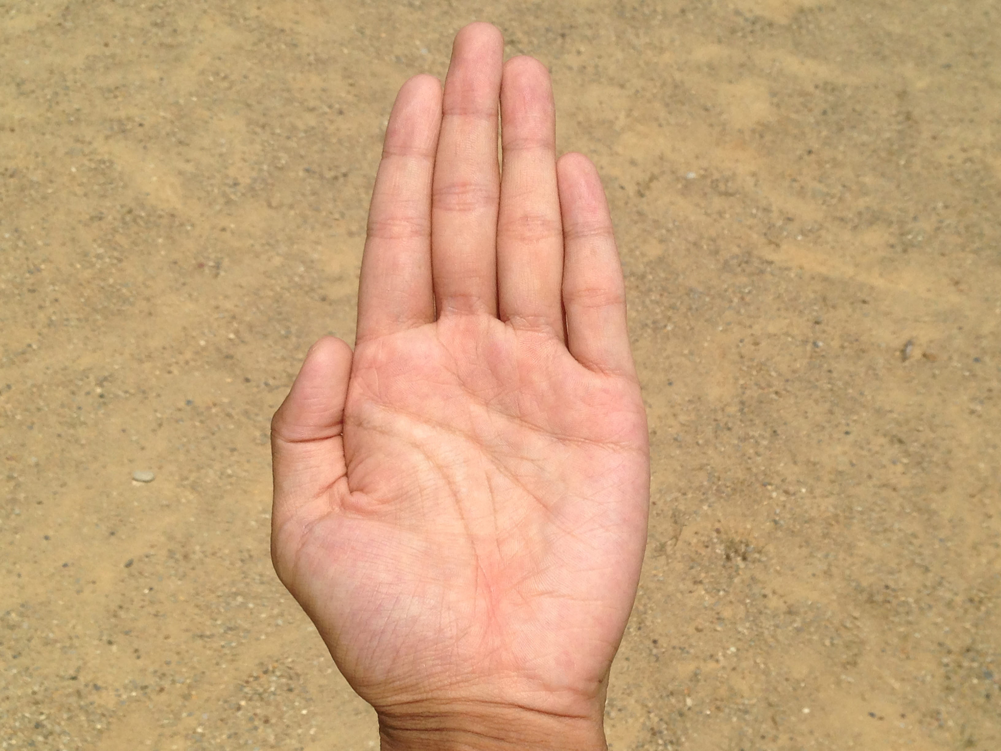 power, palm reading, body parts, close-up, beach, coast, drying, personal perspective, fingerprint, efficiency, unlucky, adult, moisture retention, kishibe, HD Wallpaper