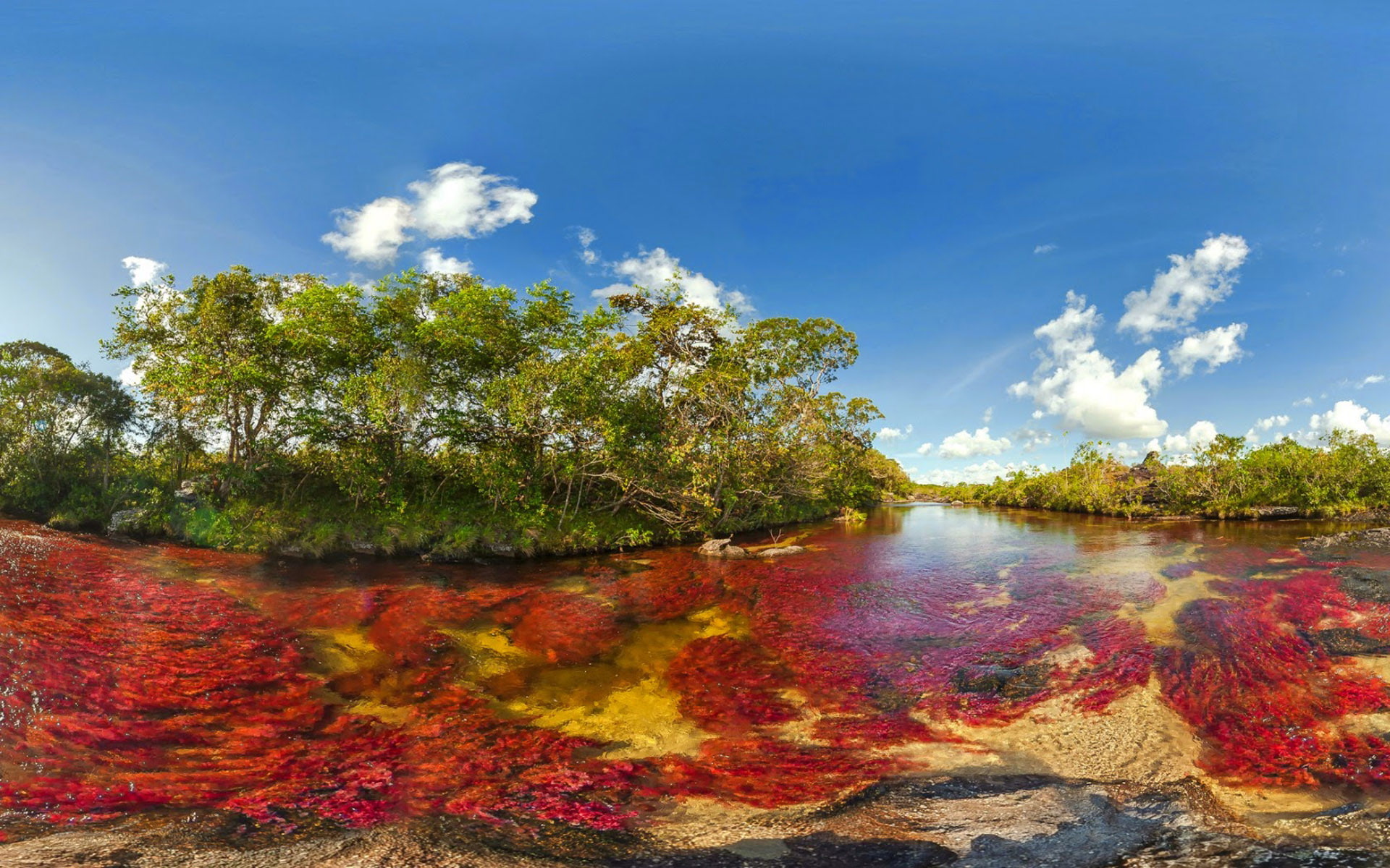 latin, liquid, cristales, colombia, tributary, country, world, guayabero, 1080P, unique, american, rainbow, cano, river, HD Wallpaper