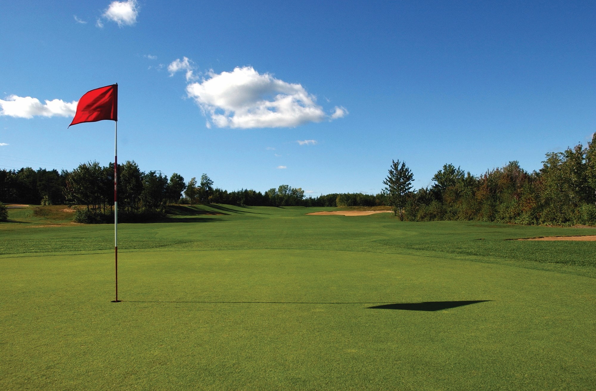 green color, hole, putting green, tree, taking a shot - sport, activity, golf course, grass, plant, golf, turf, leisure activity, nature, golf flag, sport, HD Wallpaper