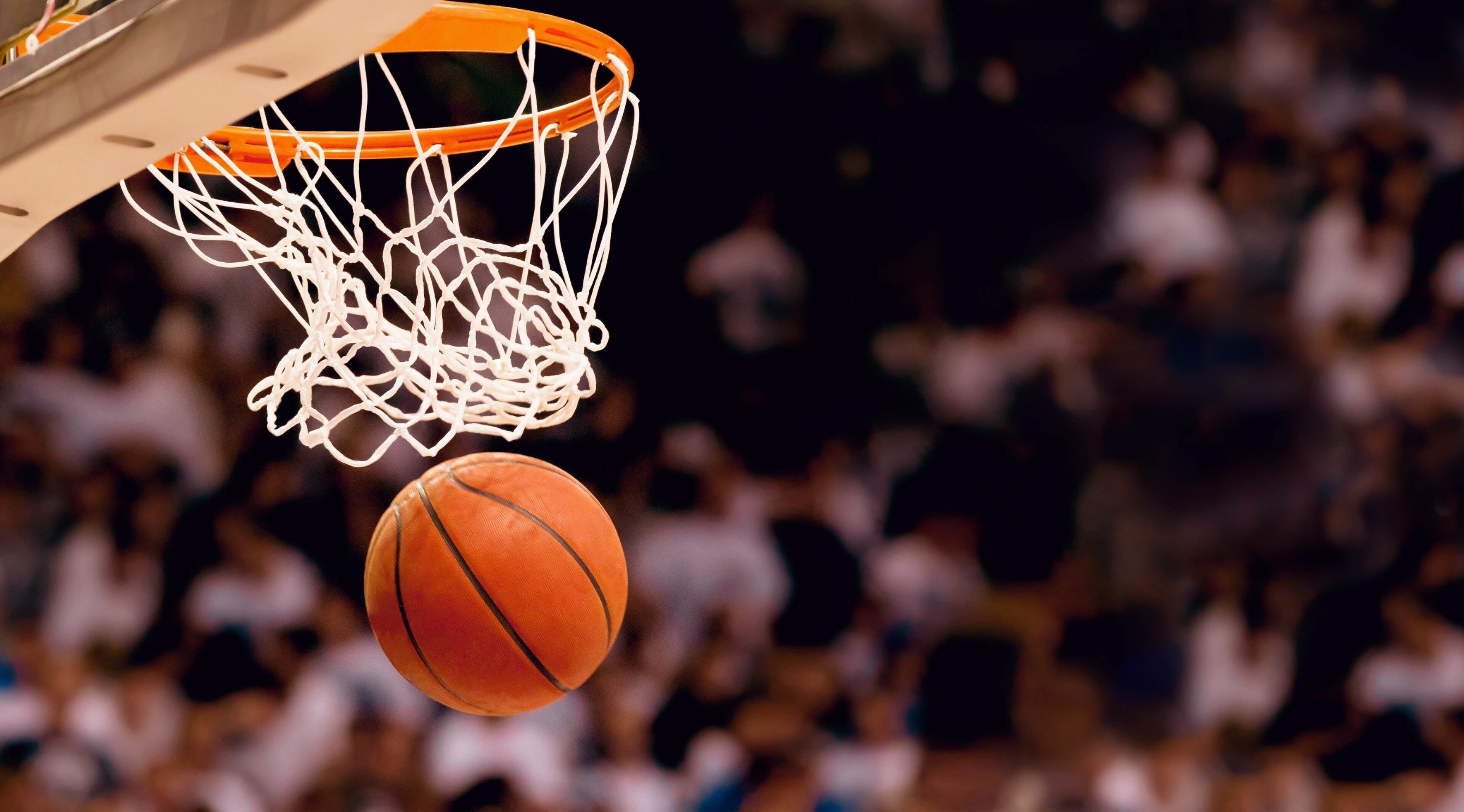 focus on foreground, net - sports equipment, court, sport, spectator, team sport, taking a shot - sport, motion, indoors, basketball - ball, hanging, basketball hoop, HD Wallpaper