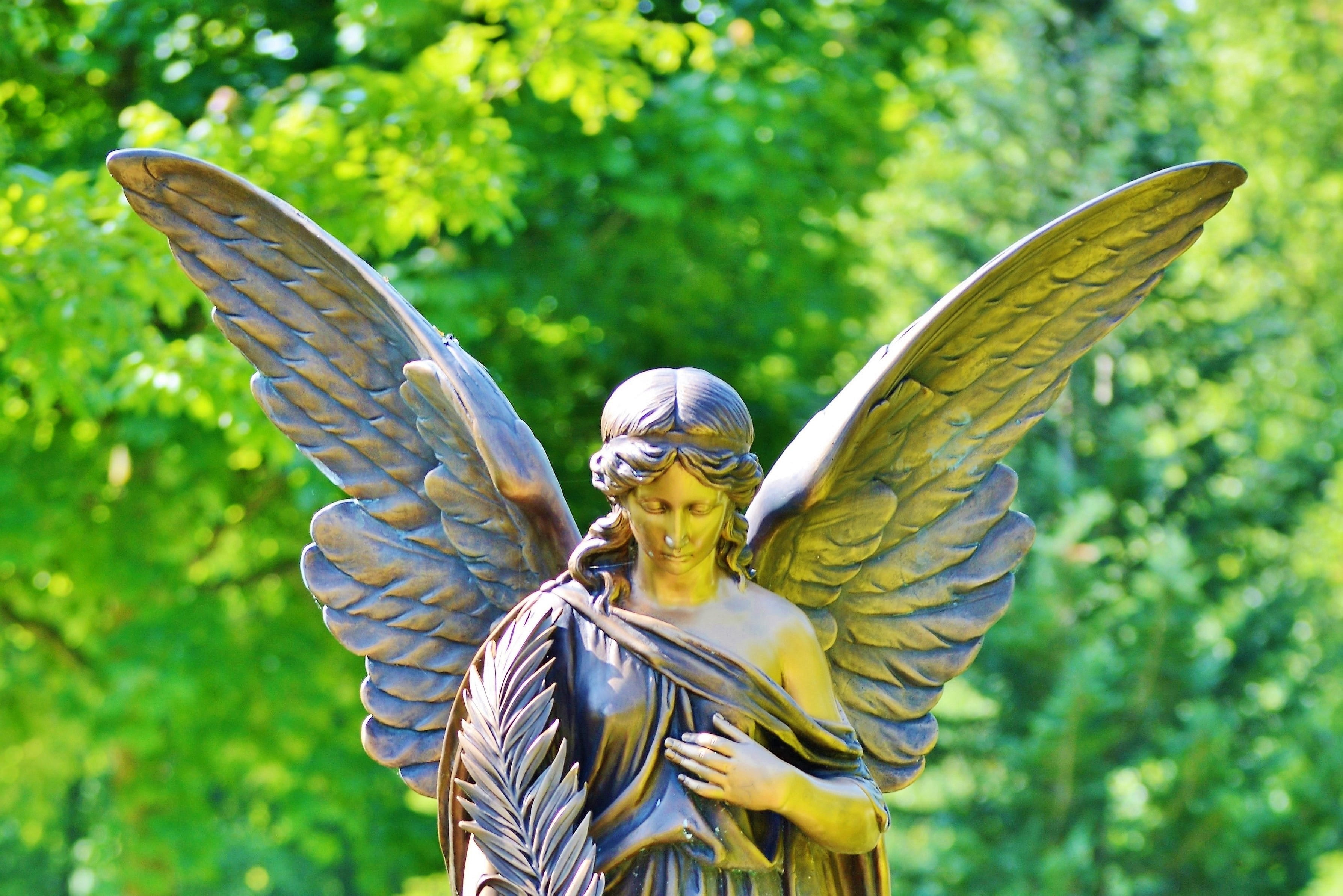 waist up, animal wing, sculpture, Figure, Stone, stone, art and craft, statue, artwork, decoration stone, Angel, outdoors, Deco, religion, female, nature, HD Wallpaper