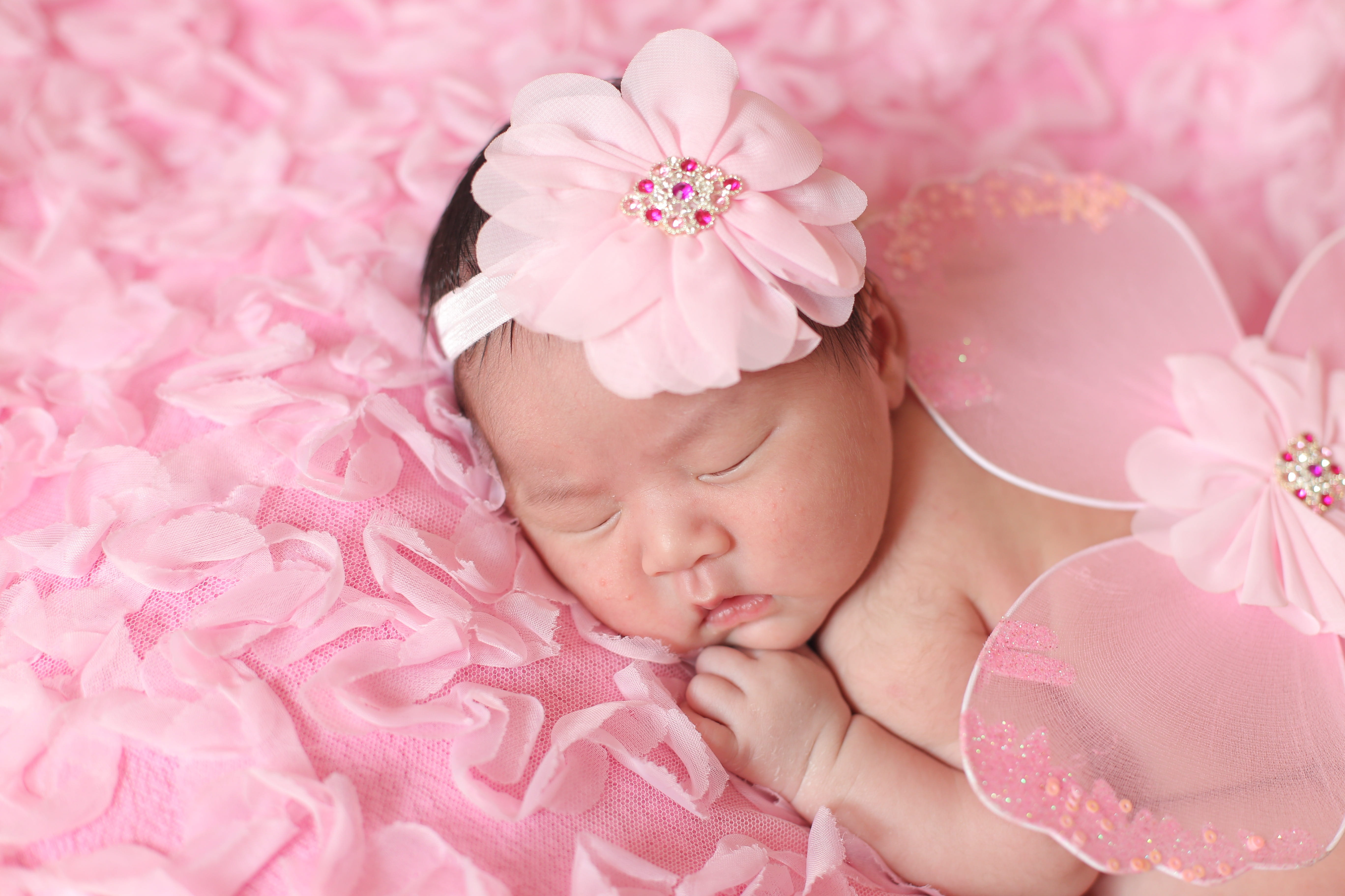 child, Pink, young, newborn, innocence, sleeping, Baby, babyhood, 5K, lying down, pink color, close-up, Little Angel, baby, relaxation, headshot, flowering plant, HD Wallpaper
