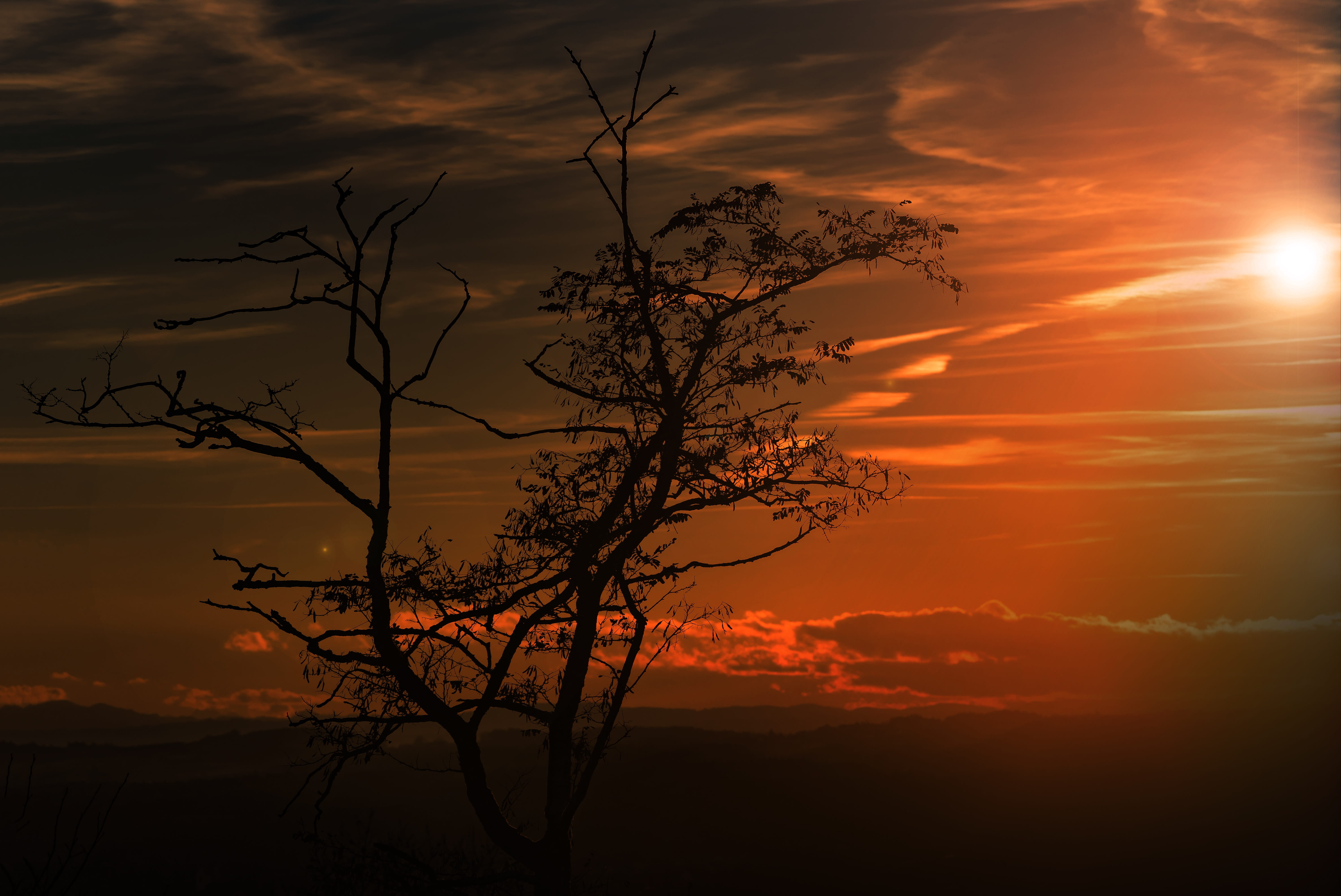 weird, nature, tranquil scene, branch, mood, cloud - sky, atmospheric, outdoors, contrast, hour, desktop background, red, sunset, colorful, non-urban scene, HD Wallpaper