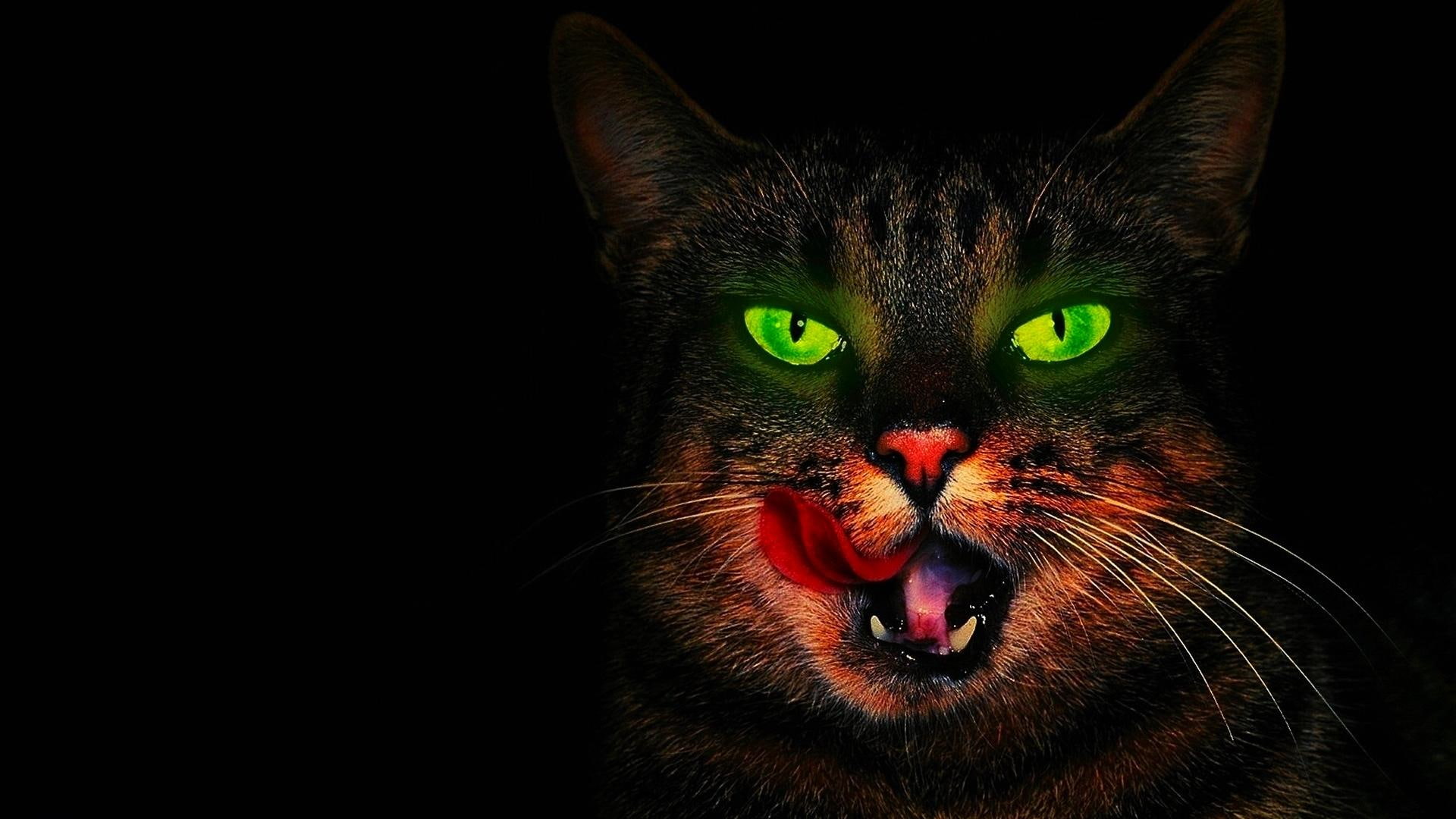 1080P, tongue, s, angel, black, green eyes, animals, witchcraft, guardian, witch, HD Wallpaper