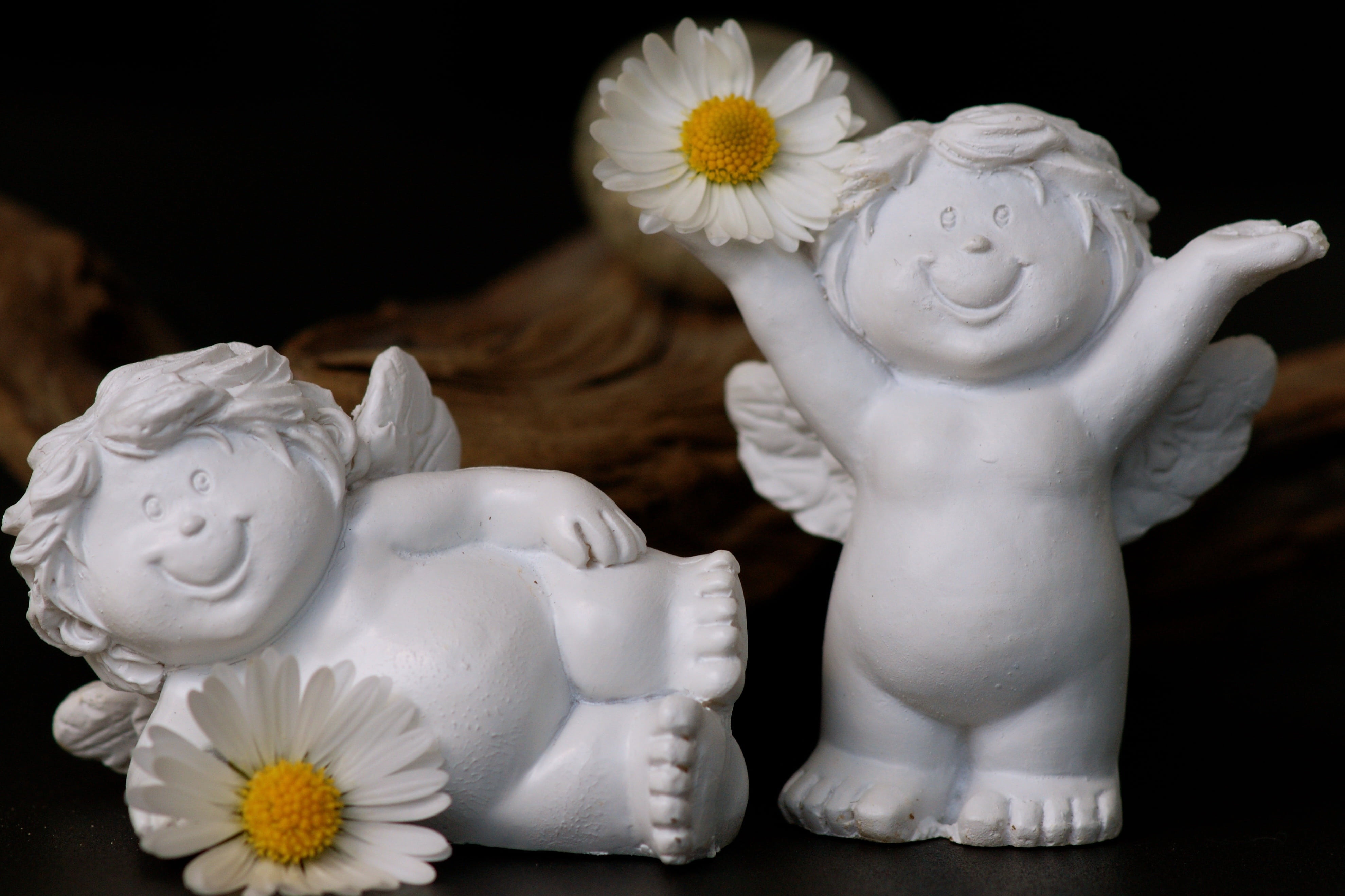 plant, studio shot, serene, guardian angel, frohsinn, optimism, emotions, indoors, art and craft, ceramics, lust for life, white, funny, mood, smilies, HD Wallpaper