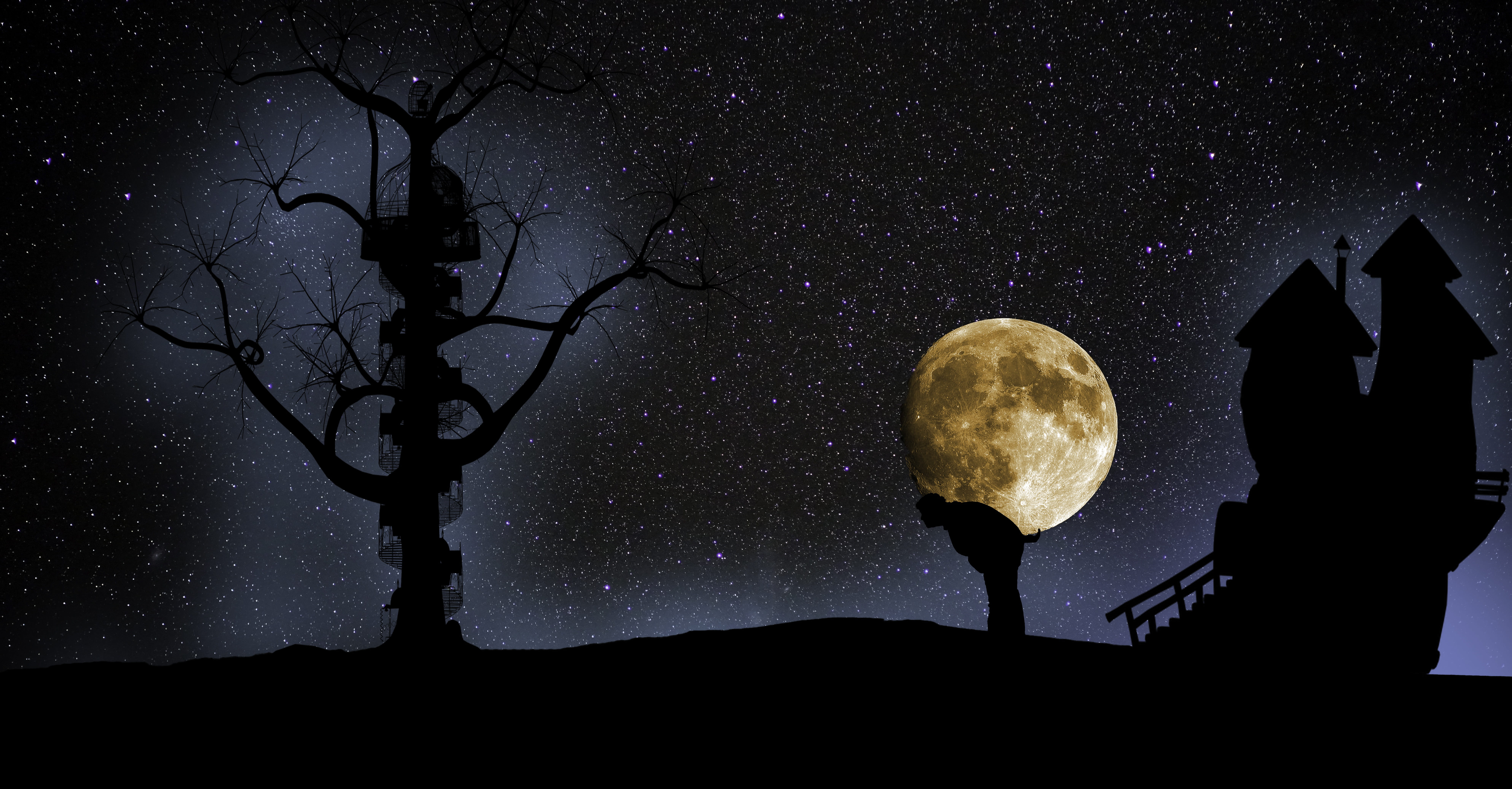 no people, abstract, dream, sage, scenics - nature, full, planetary moon, outdoors, night sky, beauty in nature, star, astronomy, low angle view, moonlight, HD Wallpaper
