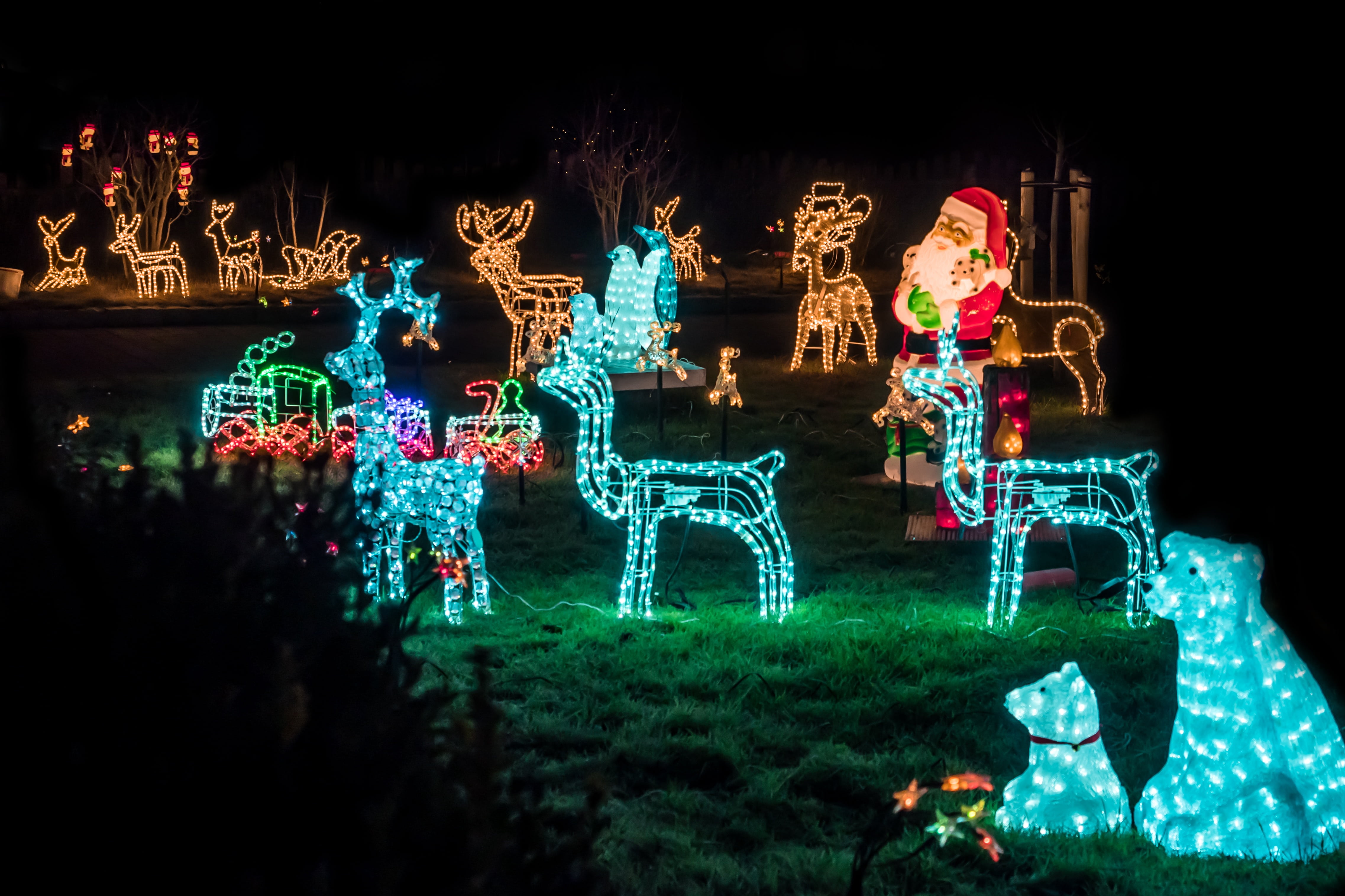 contemplative, night, claus, mood, decor, reindeer, celebration, postcard, christmas lights, christmas decoration, tree, human representation, greeting card, HD Wallpaper