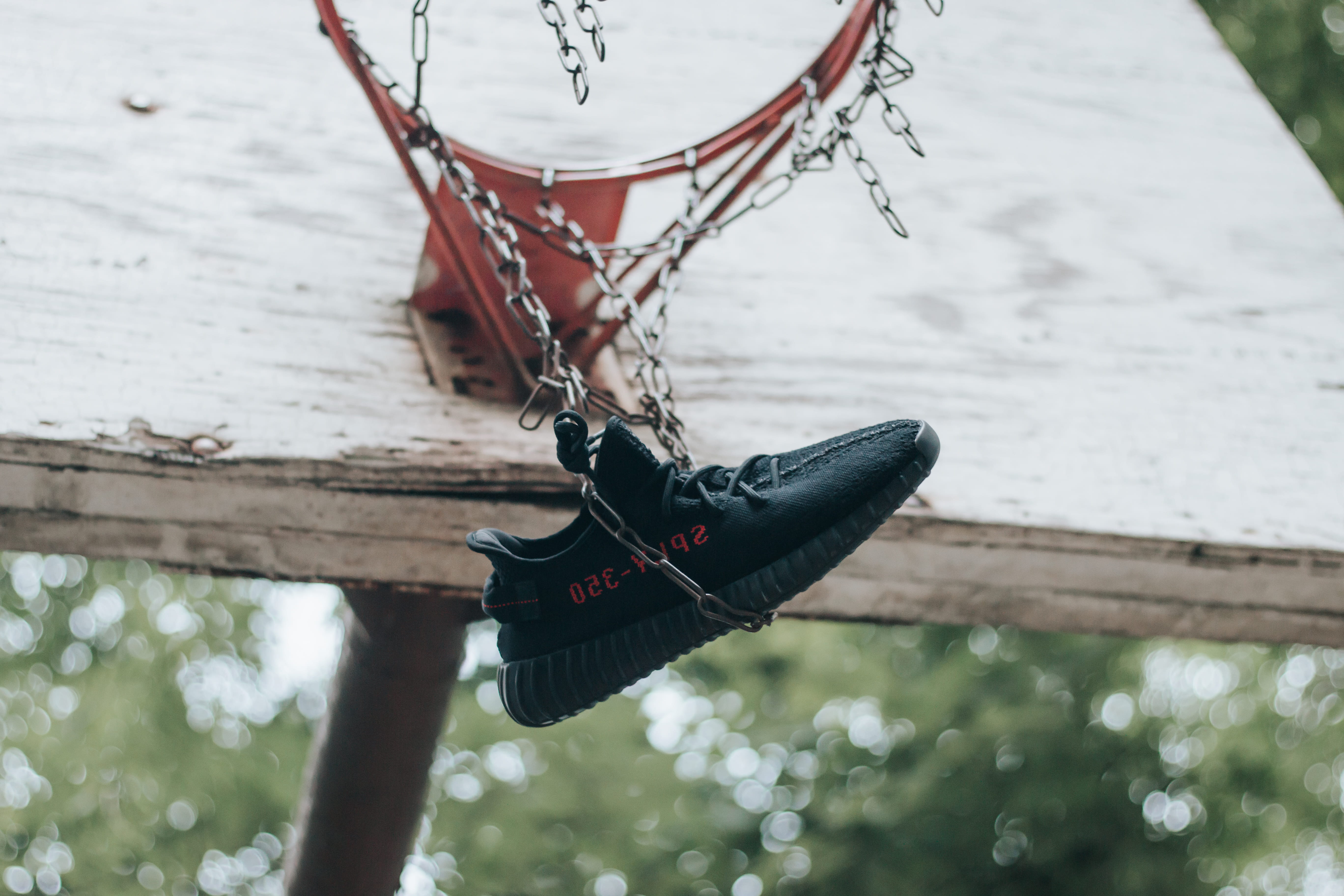 land, plant, rope, metal, love, personal accessory, yeezy, focus on foreground, selective focus, kayne, shoe, hypebeast, fashion, tree, sneakers, hoop, HD Wallpaper