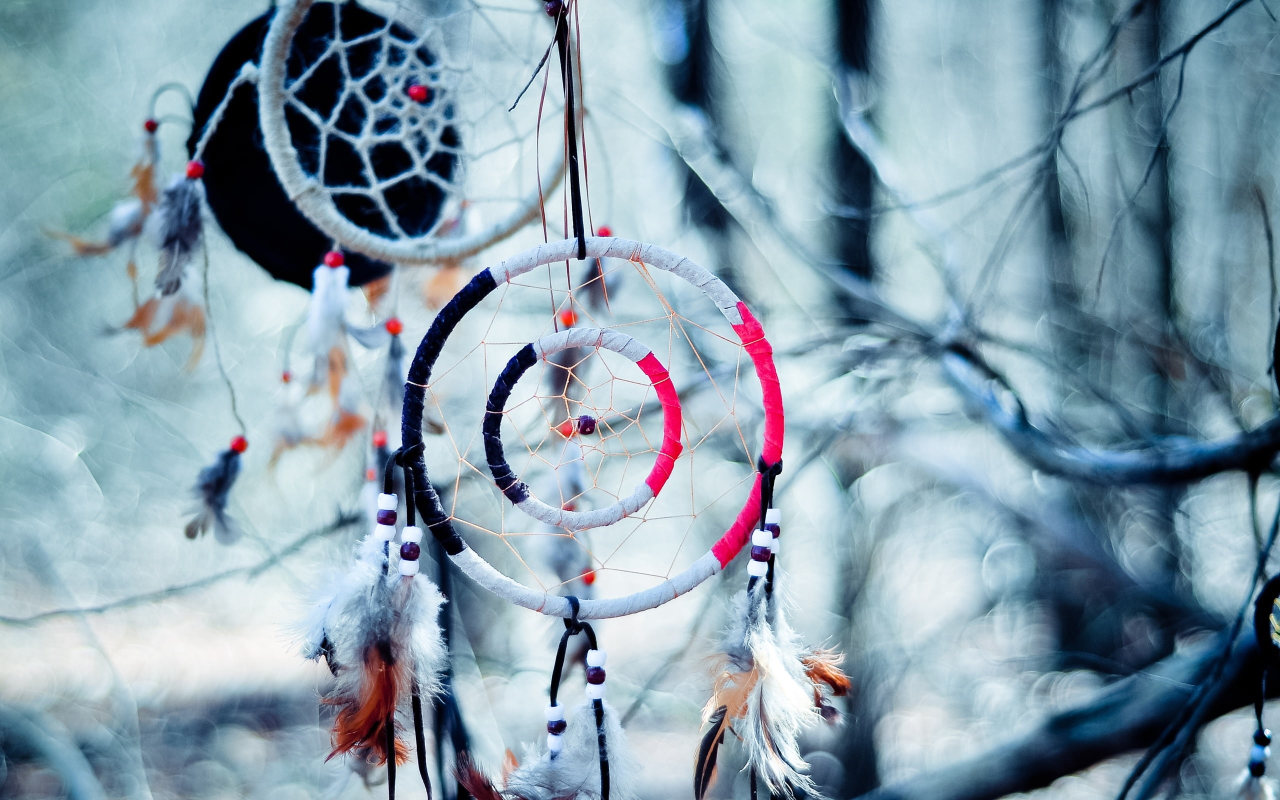 nature, close-up, cold temperature, art and craft, decoration, the dream catcher, day, spirituality, branches, focus on foreground, dreamcatcher, white, HD Wallpaper