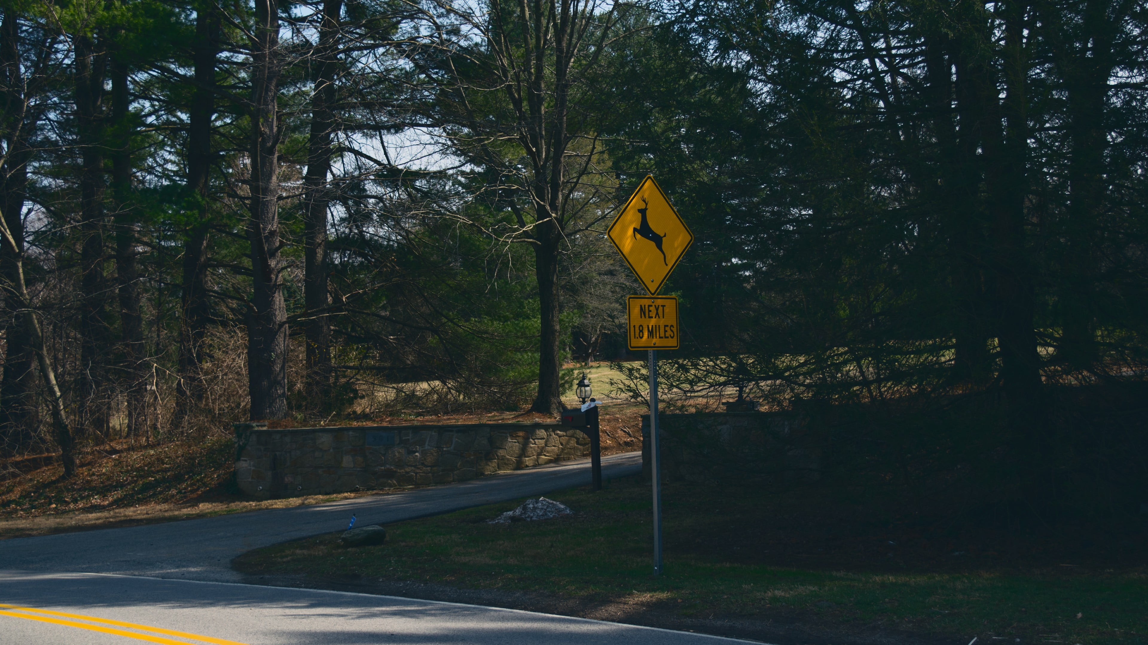 day, representation, symbol, growth, trees, tree, basketball, road, nature, communication, yellow, land, outdoors, no people, transportation, road sign, HD Wallpaper