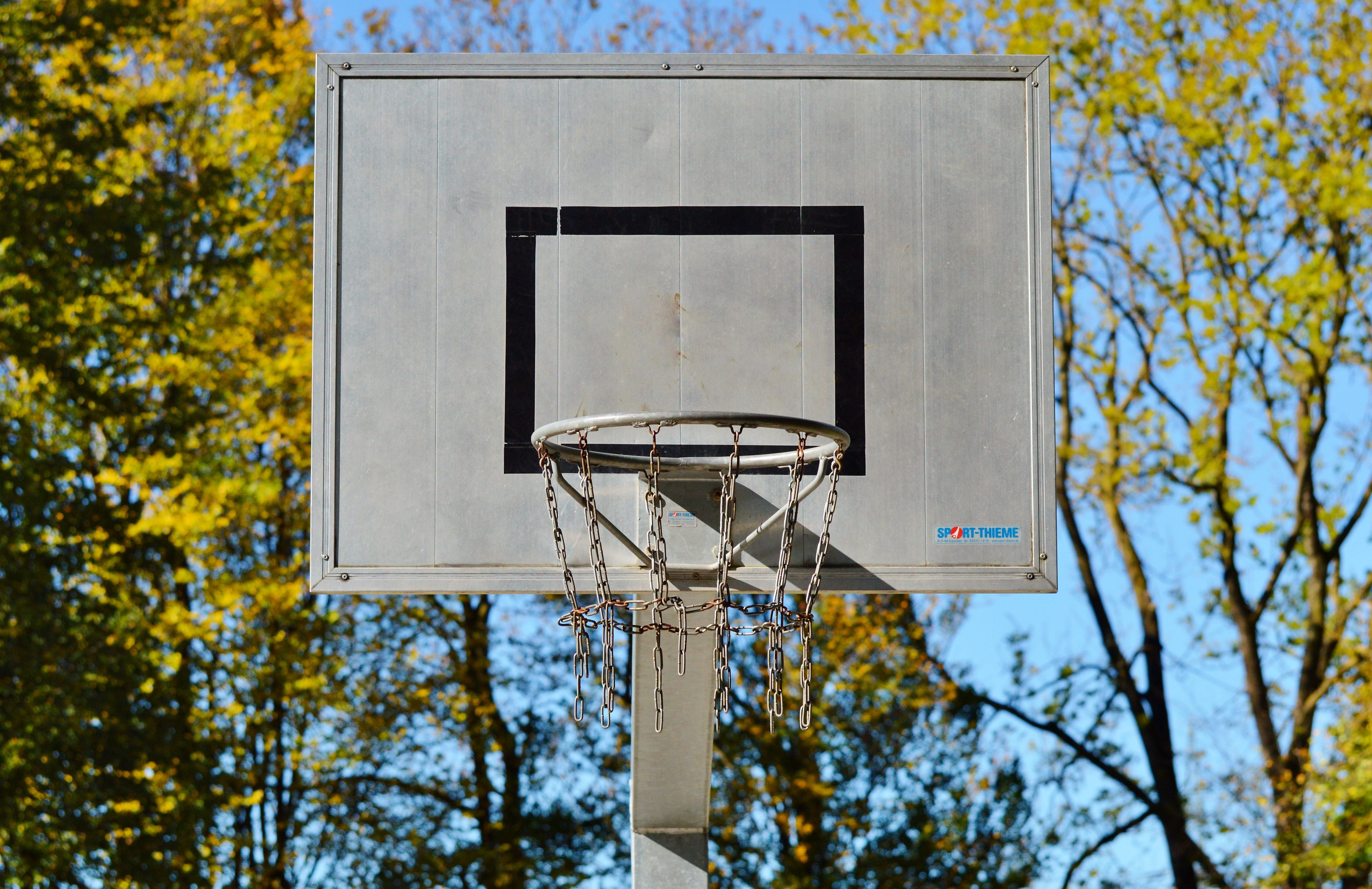 focus, ball sports, outdoor, basketball - sport, basketball, autumn, directly below, competition, 5K, low angle view, selective, day, nature, plant, photography, HD Wallpaper
