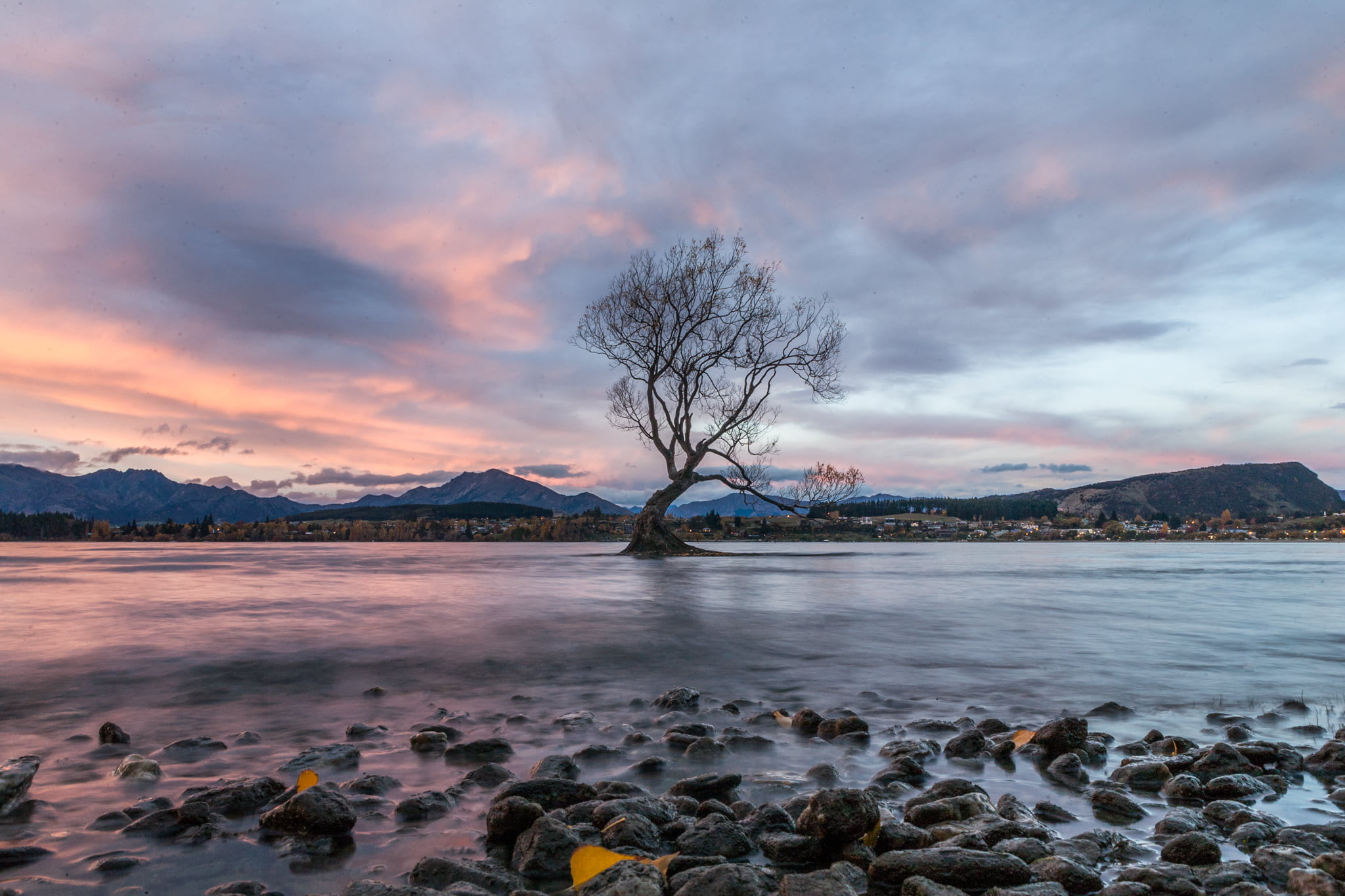 outdoors, tree, water, mountain, surrounded, scenics, lake, body of water, body, 1080P, nature, sunset, photographed, Wanaka  New Zealand, withered, landscape, HD Wallpaper